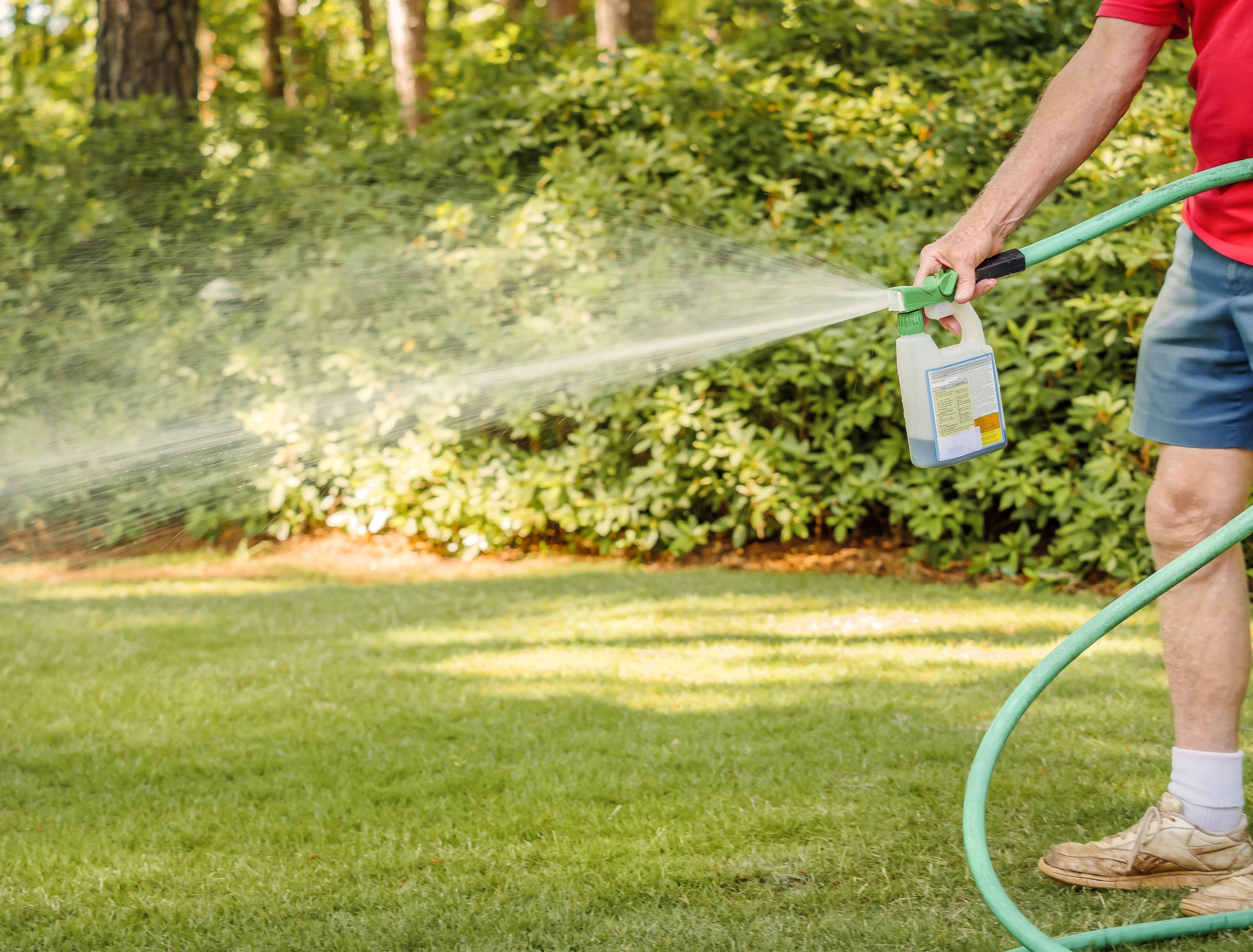 fertilizing lawn with liquid fertilizer 