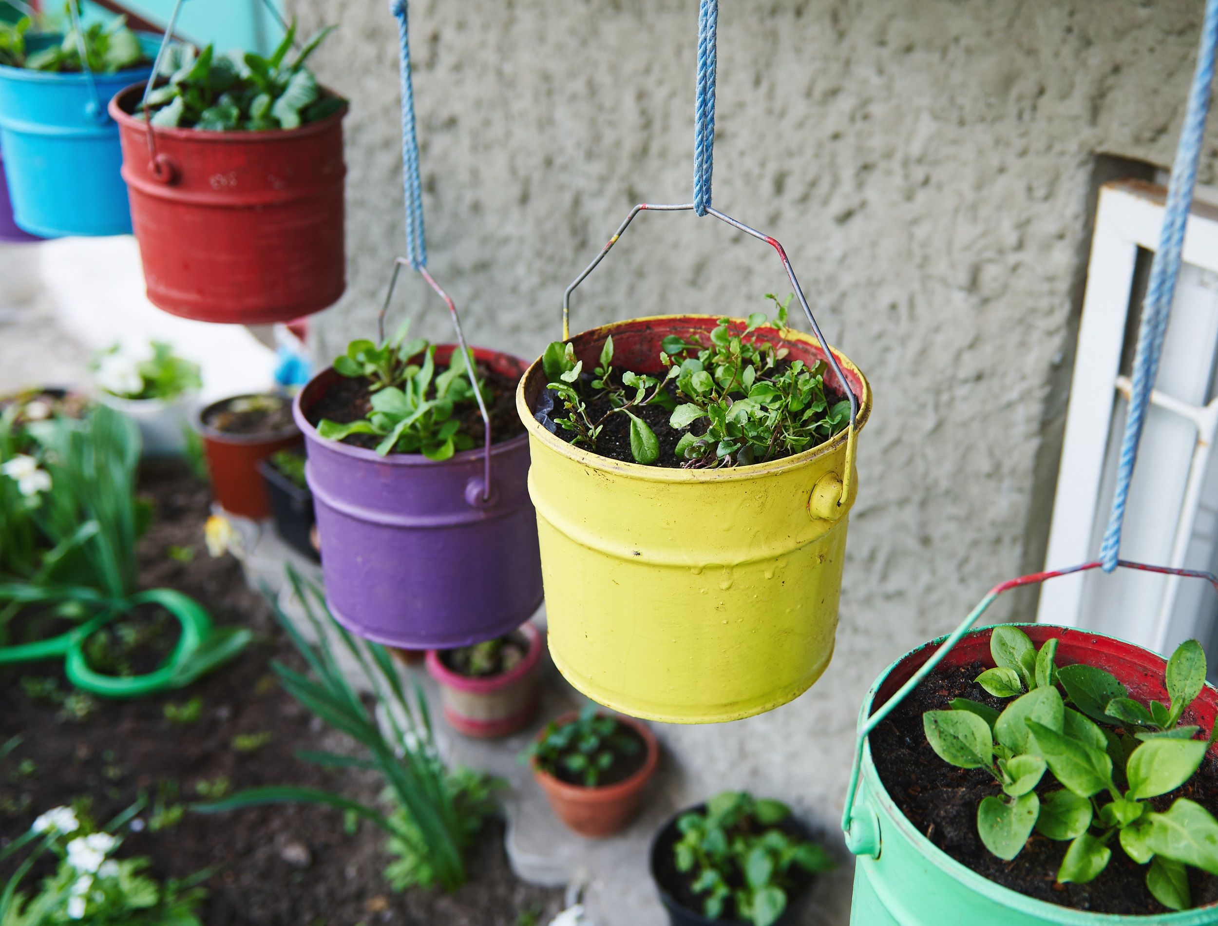 Clean Your Garden Pots the Right Way