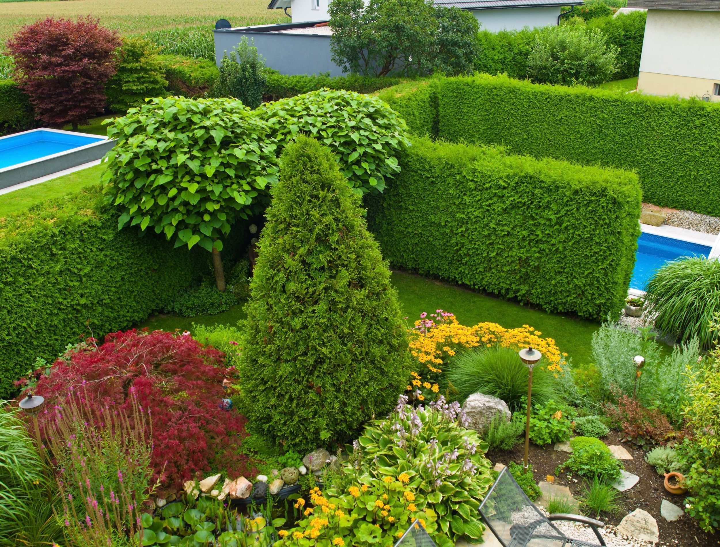 Spring Into Privacy: Planting Your Own Living Fence