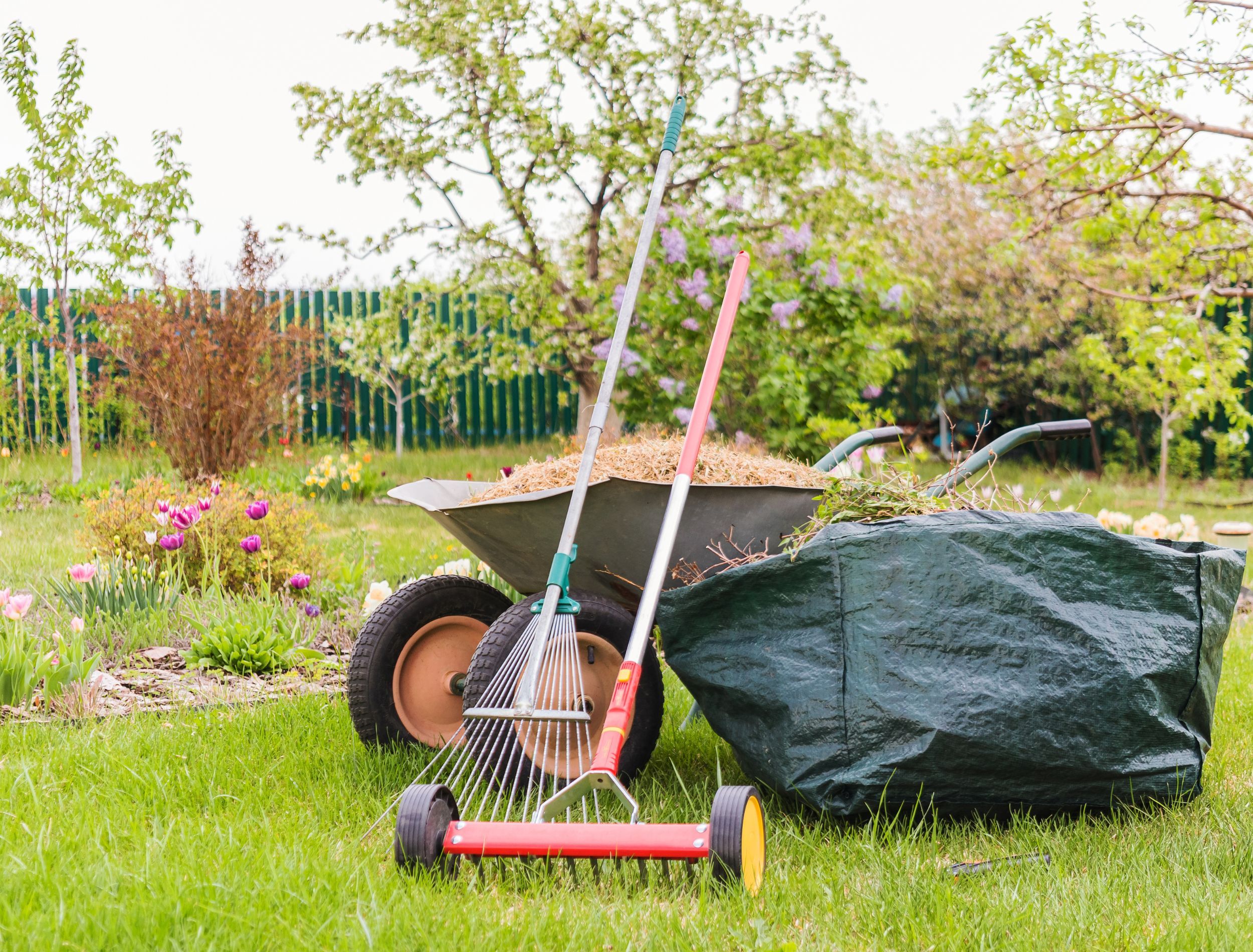 Lawn maintenance on sale march