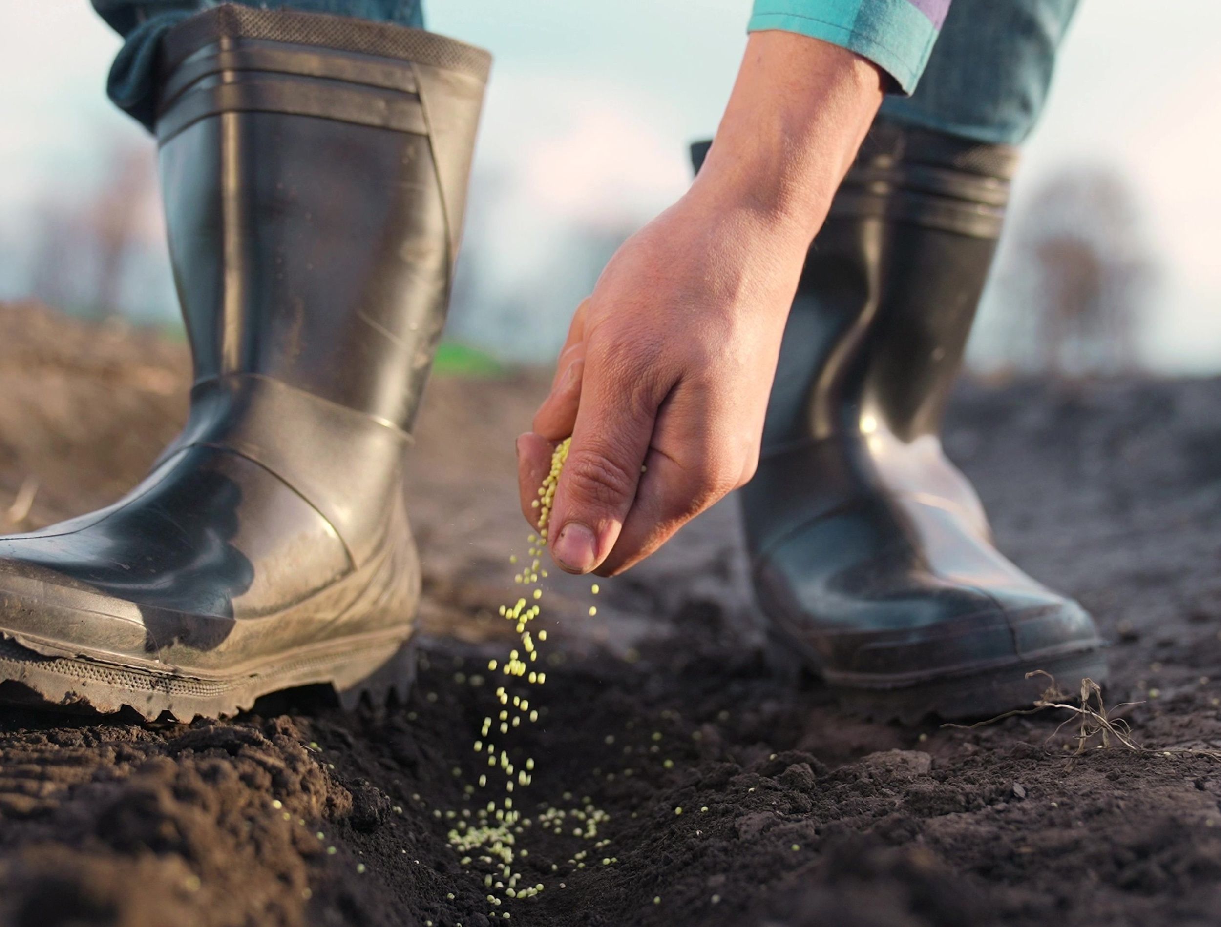 Vegetables to Plant in March for a Summer Garden