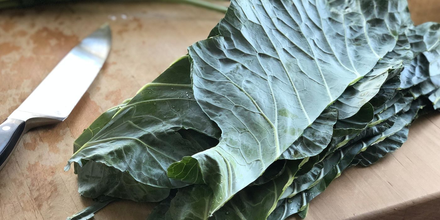 3 Essential Steps for Harvesting Collard Greens