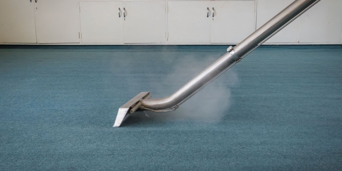 How to Get Rid of Skunk Smell in Your House