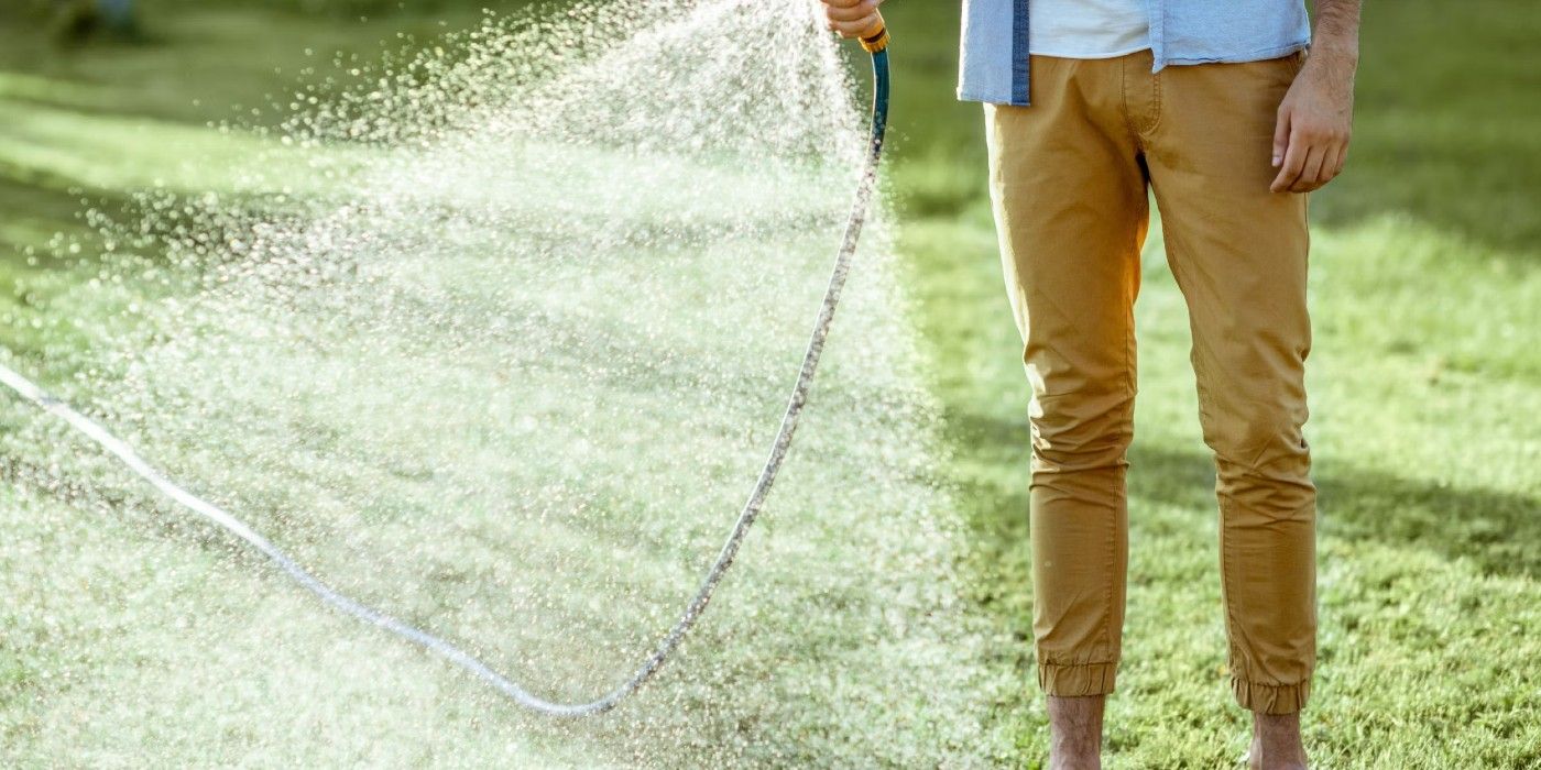 Essential Tips for Watering Your Yard