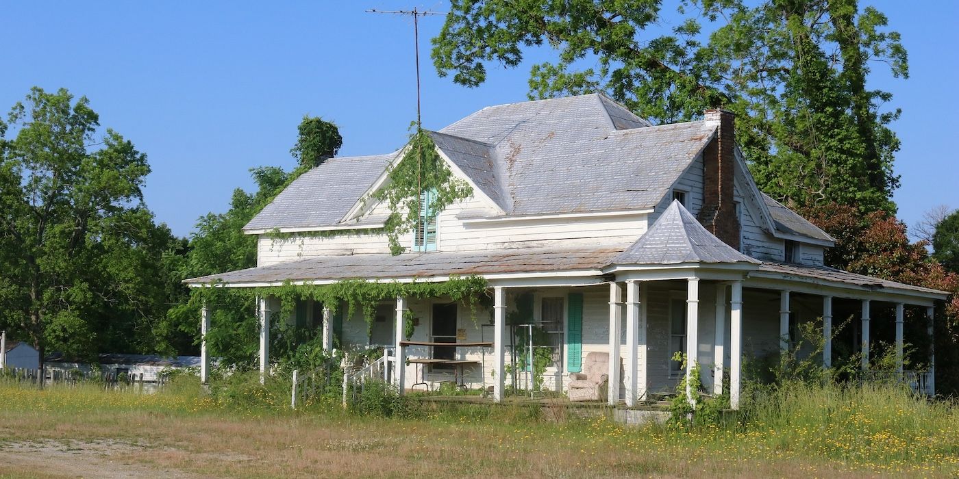 Kudzu The Notoriously Invasive Vine That Ate the South