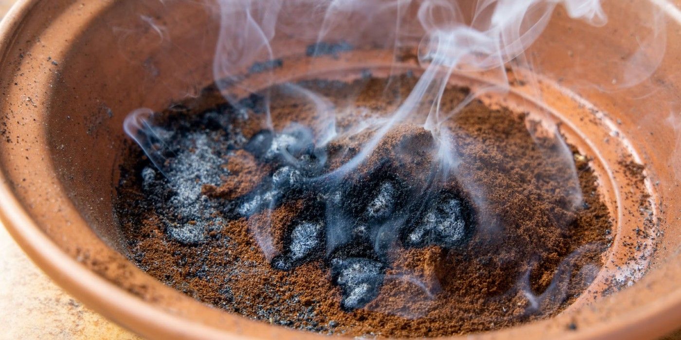 8 Ways to Use Coffee Grounds for Plants
