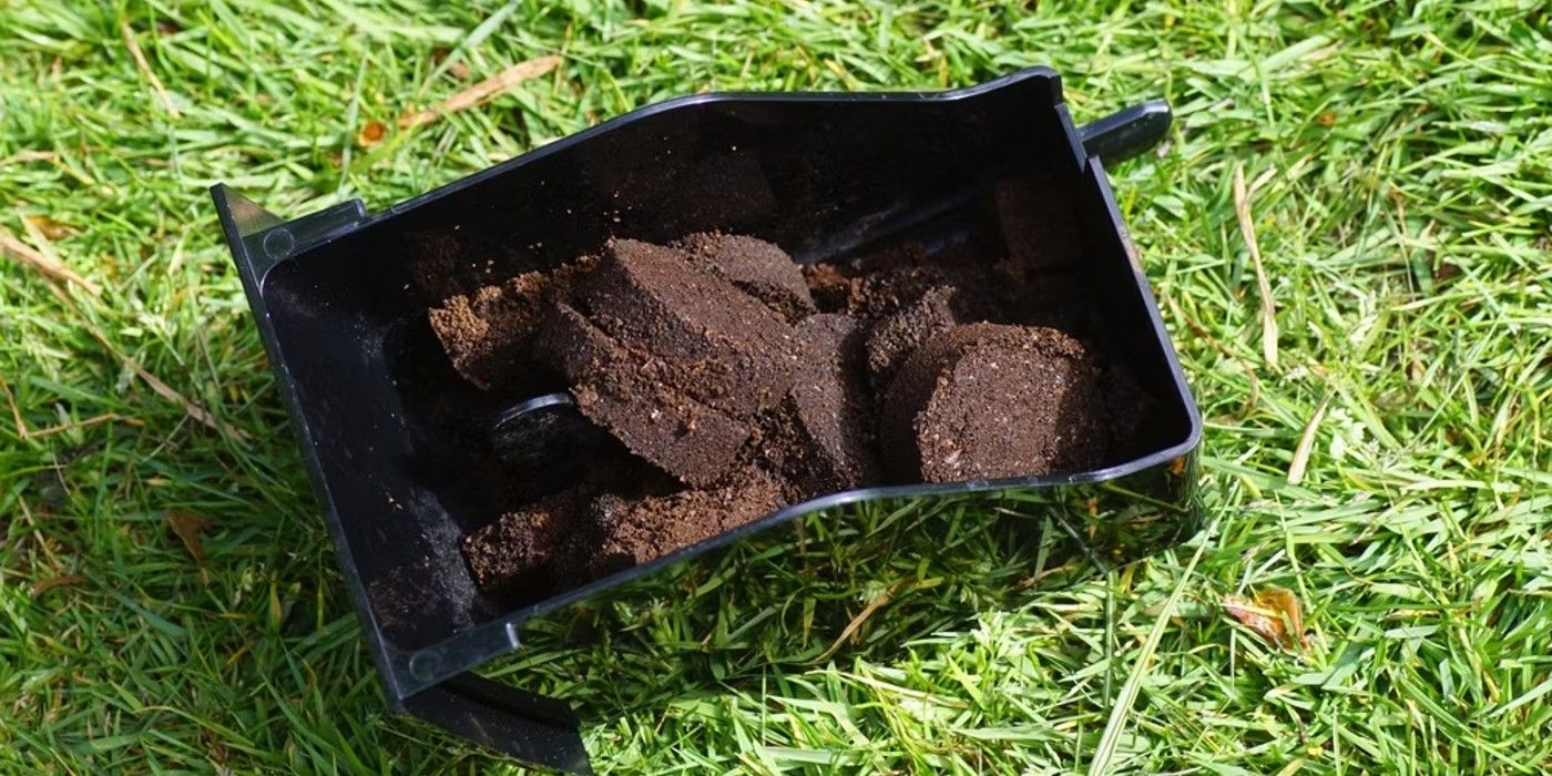 8 Ways to Use Coffee Grounds for Plants