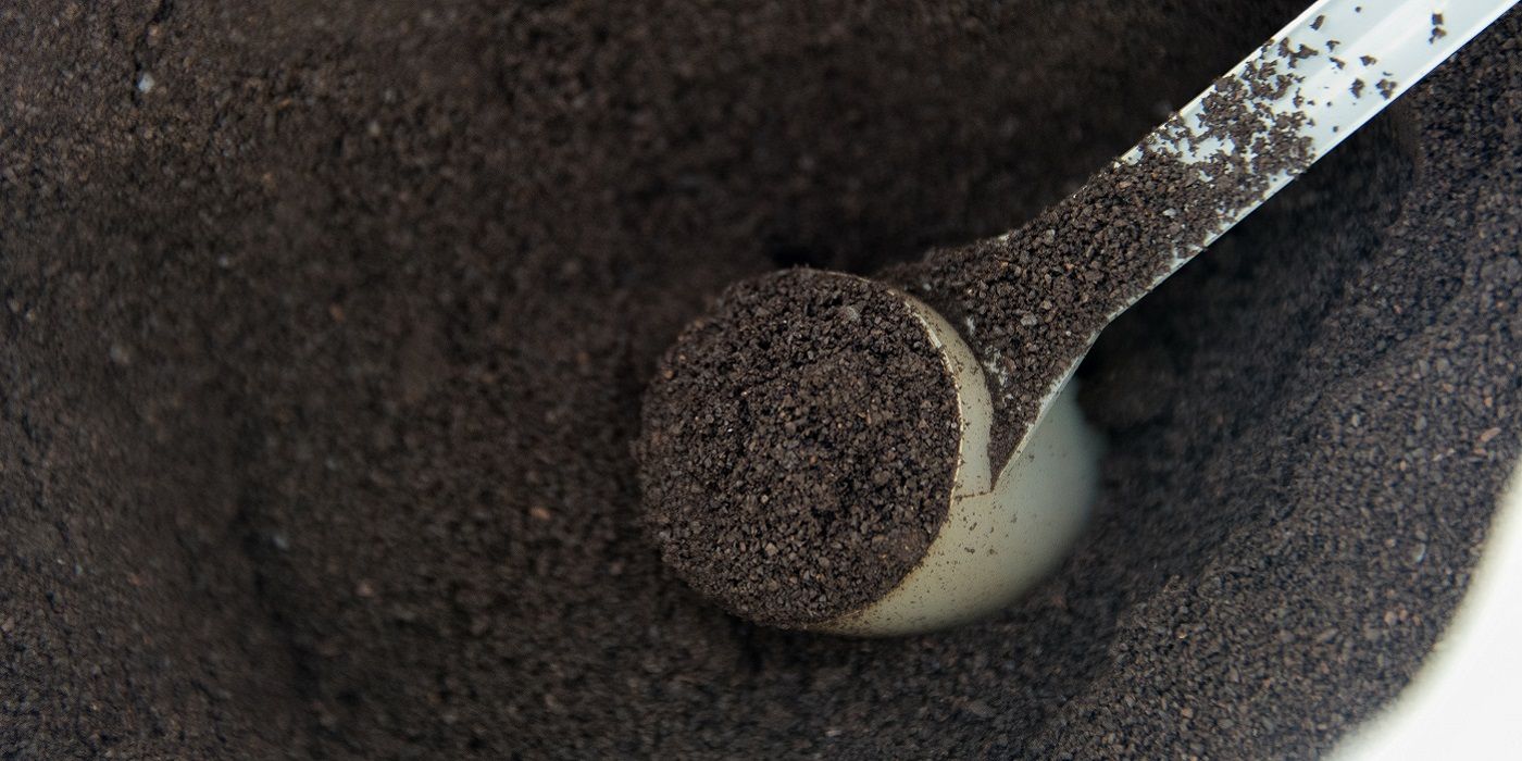 Use Coffee Grounds to Keep Mosquitoes Away