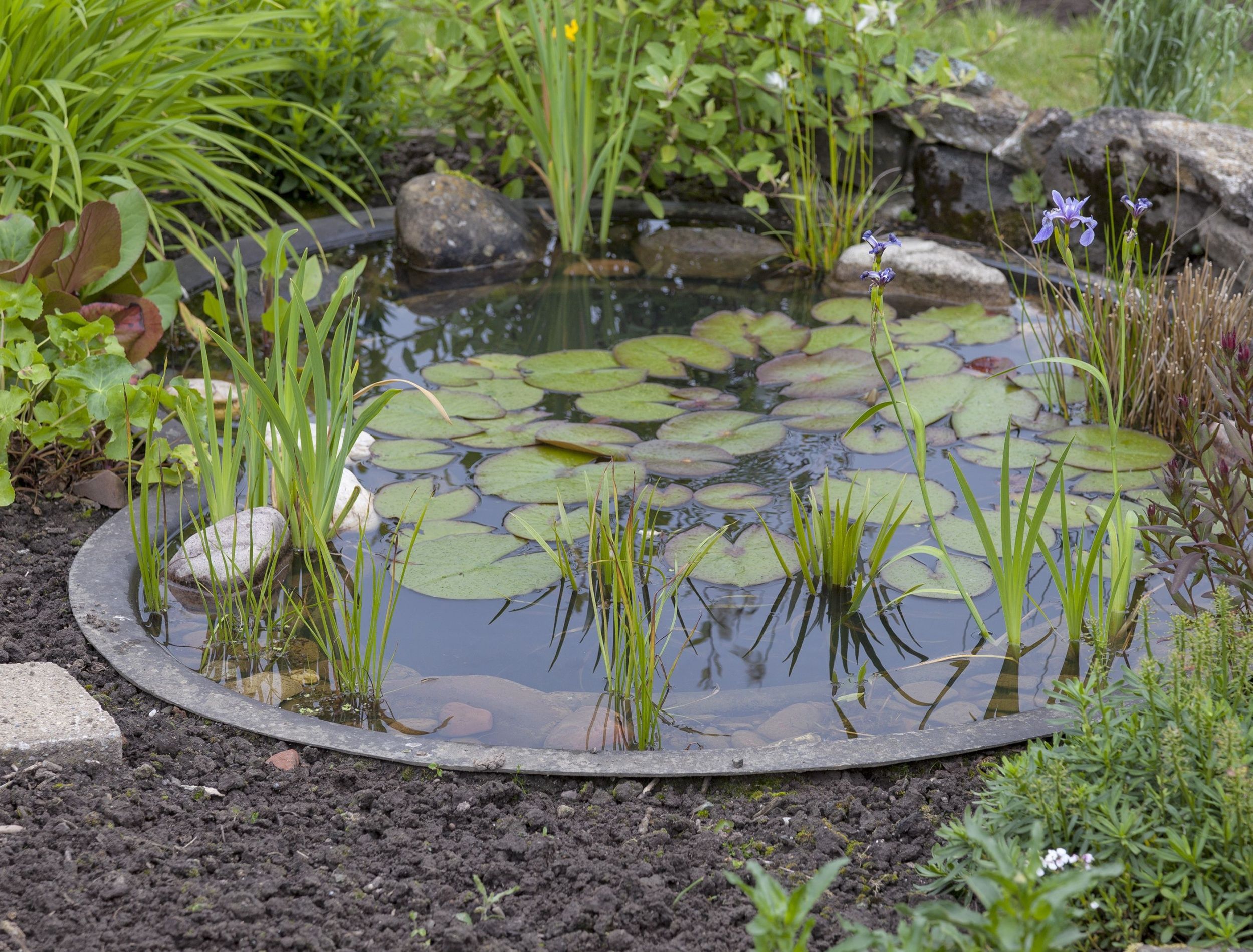 free basin DIY pond