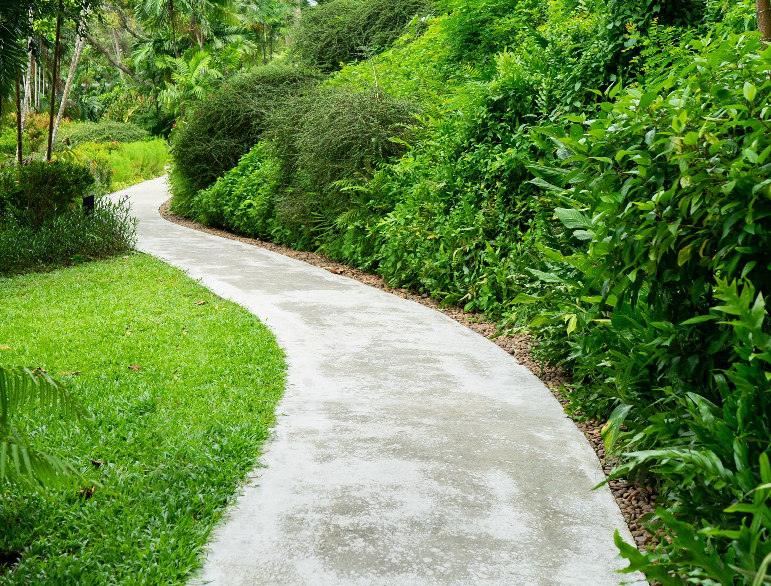 Garden path curving through grass and trees