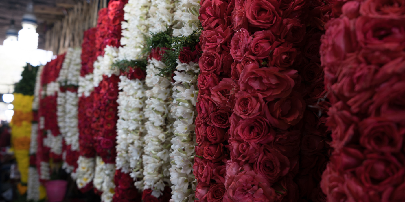 Kentucky Derby Garland of Roses: History and Creation