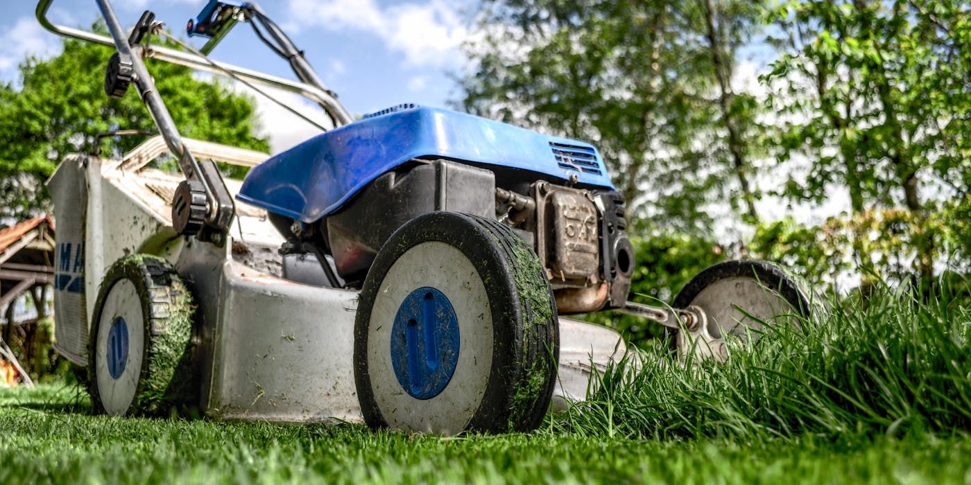 May Lawn Care: To Water or Not to Water?