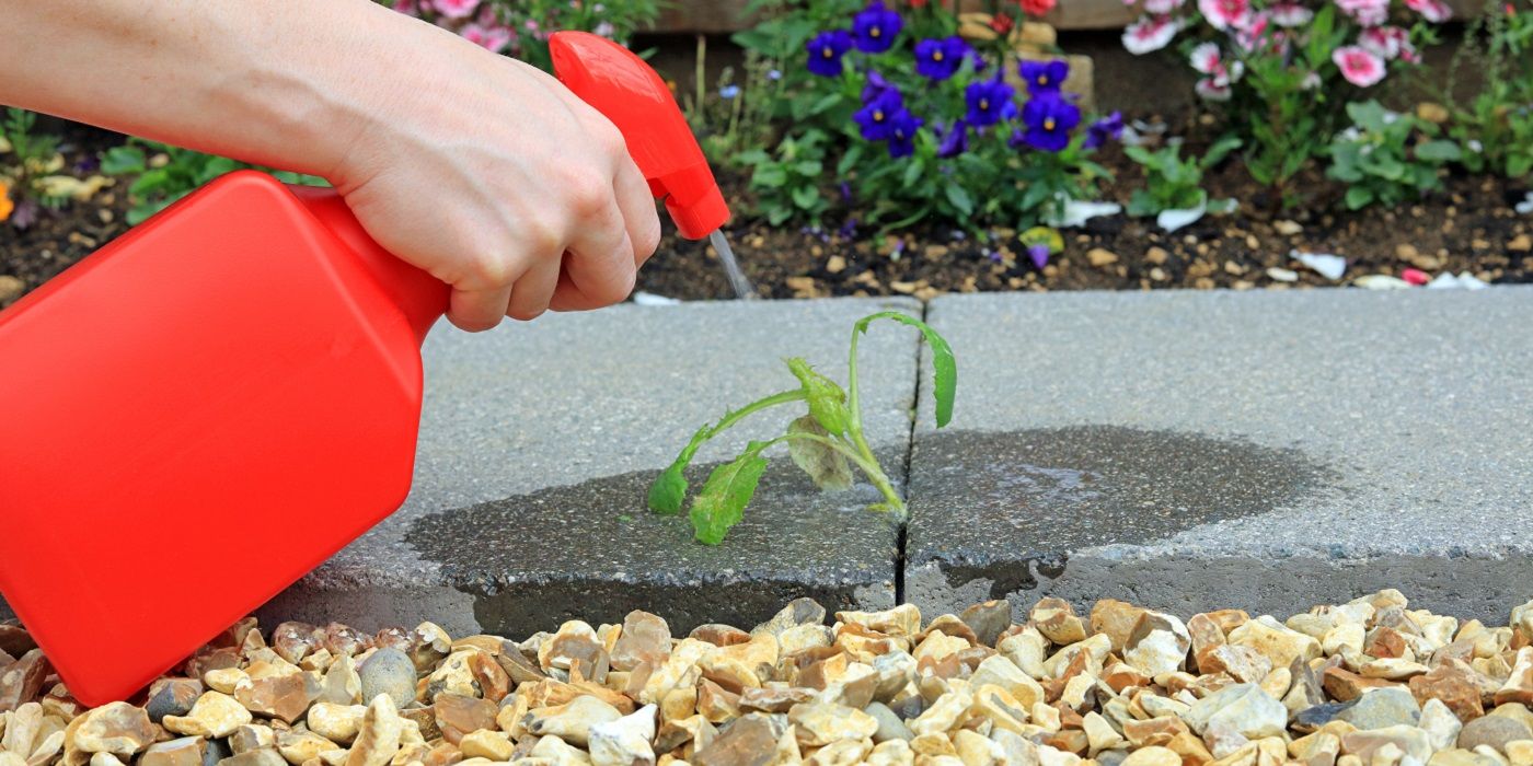 How to Kill Weeds With Vinegar and Epsom Salt