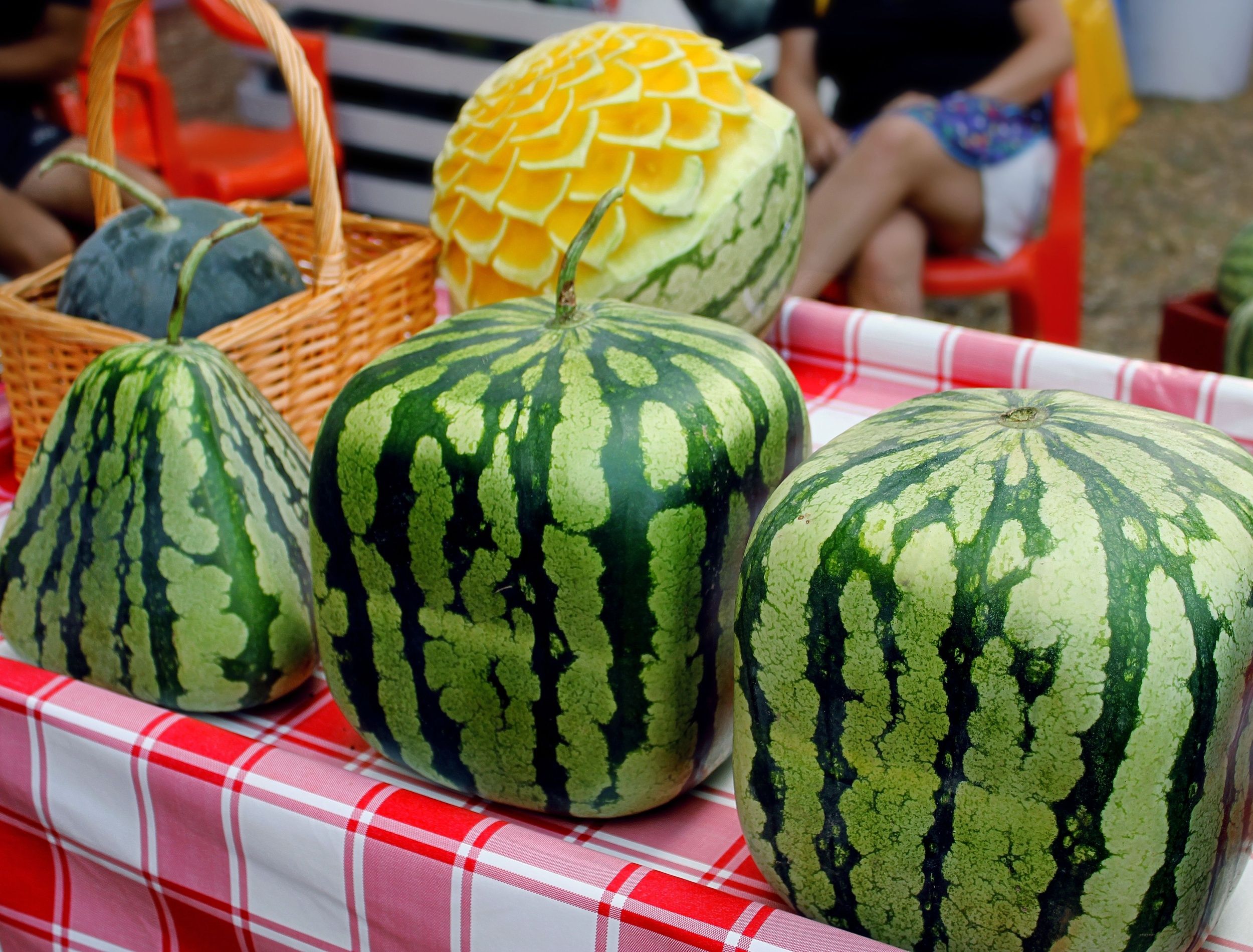 square watermelons at the market 