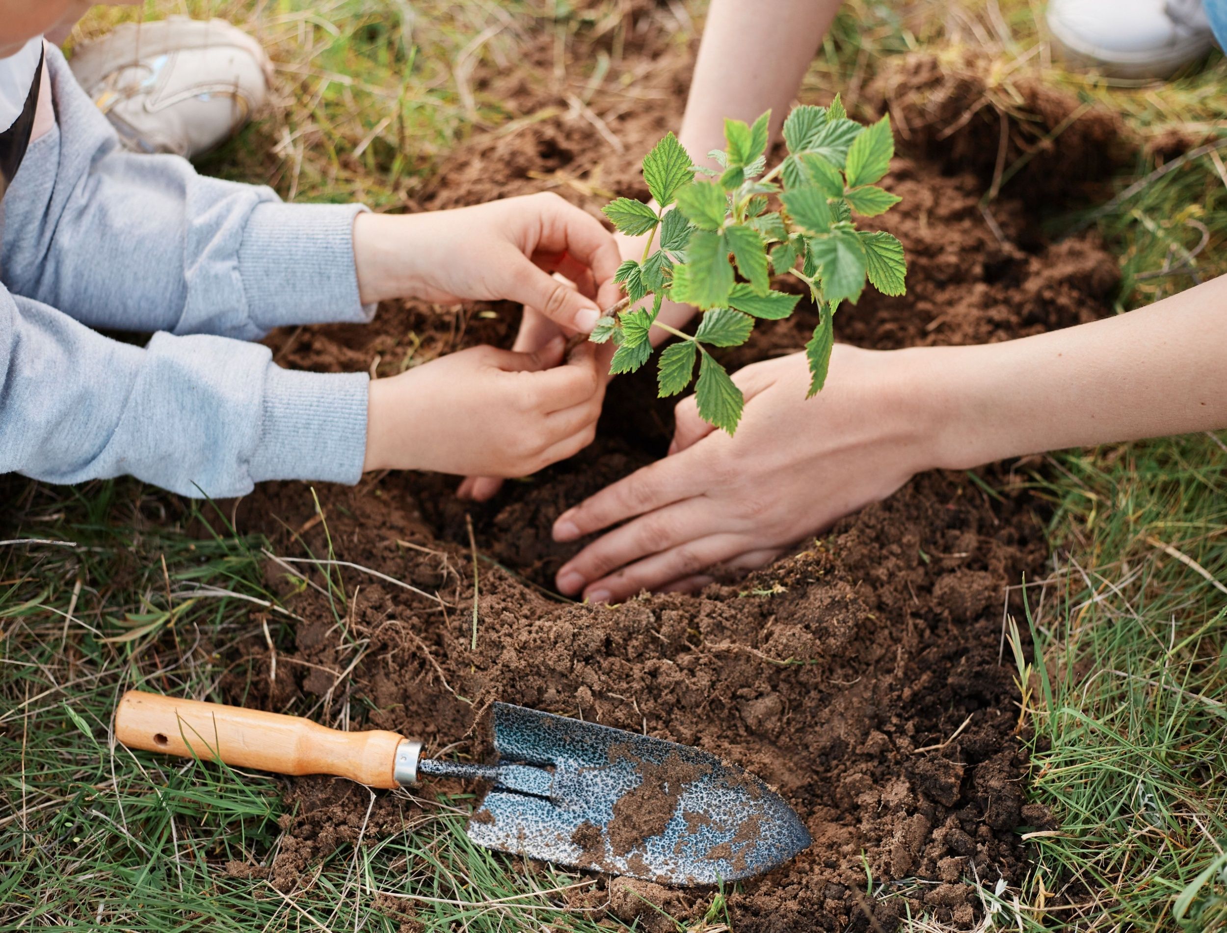 Tasks for a Beautiful Front Yard: Landscape Ideas, Tips, and More!