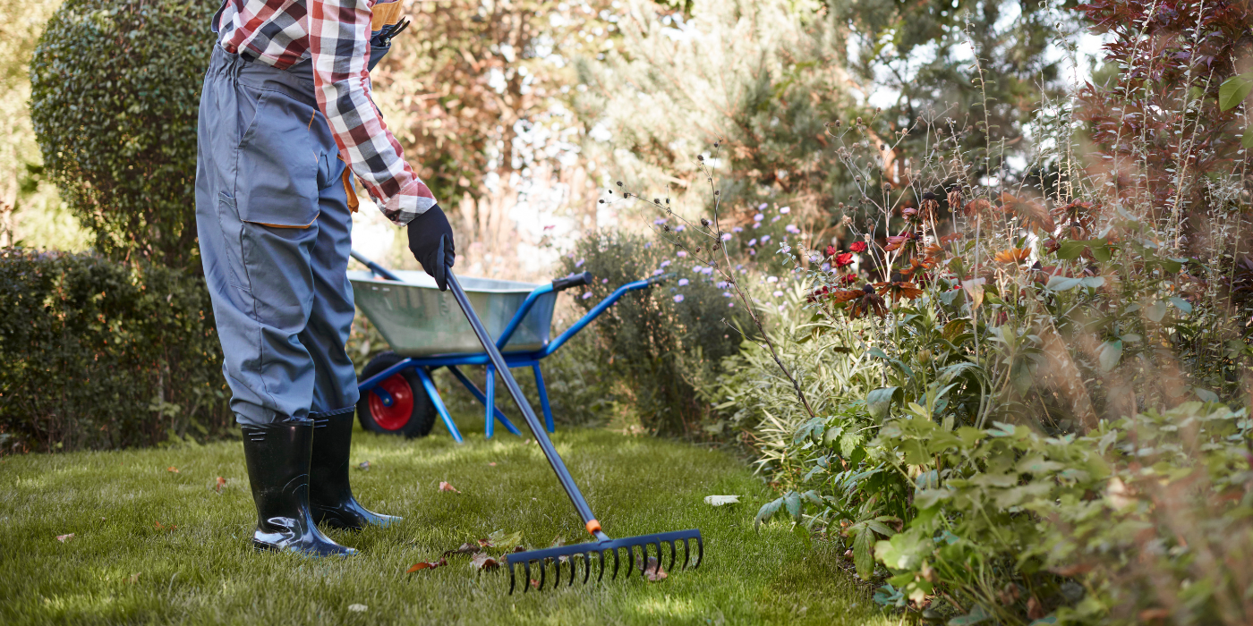 8 Spring Lawn Care Things to Avoid When Raking