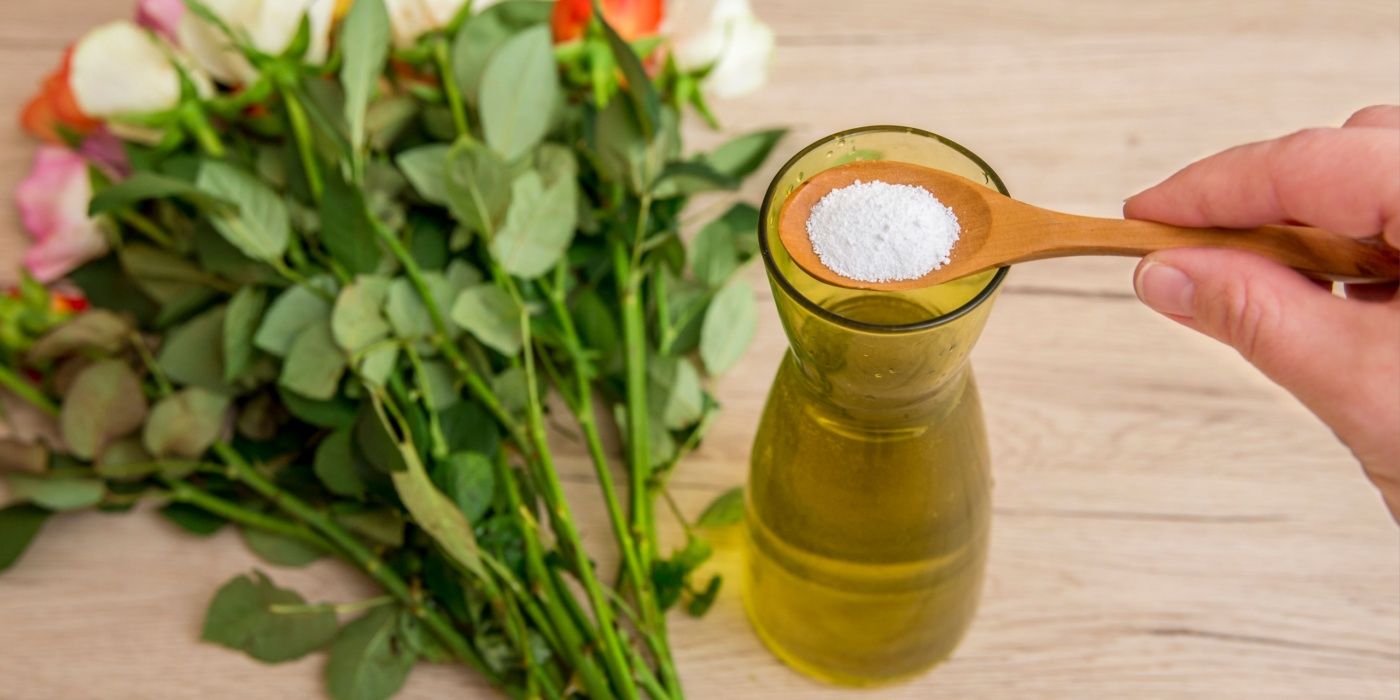 Fresh Flowers For Longer 6 Simple Tricks to Preserve Your Cut Blooms