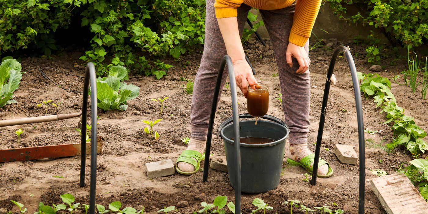 SHOULD YOU WATER AFTER USING LIQUID FERTILIZER visual data 6