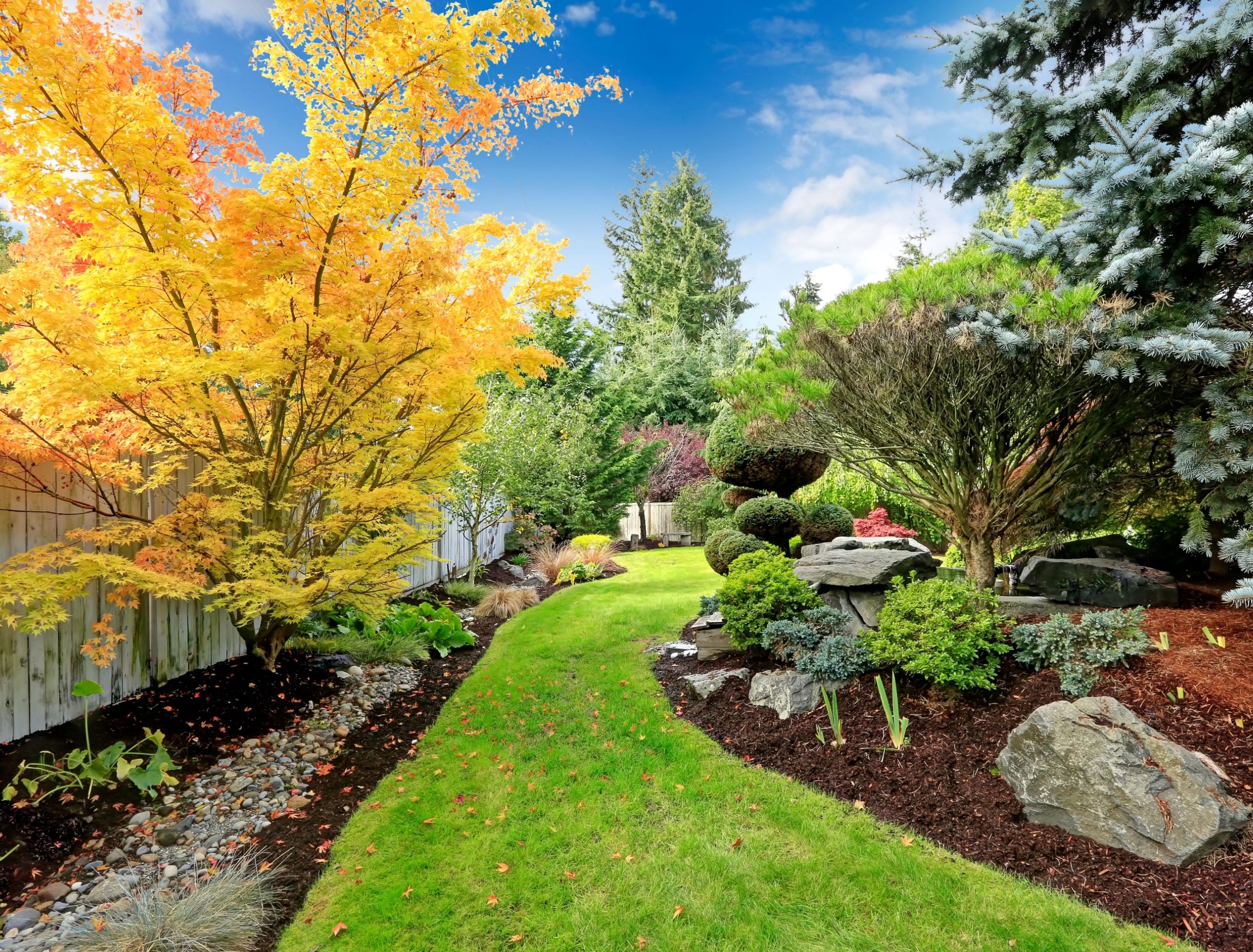 Beautiful colors in natural backyard landscaping