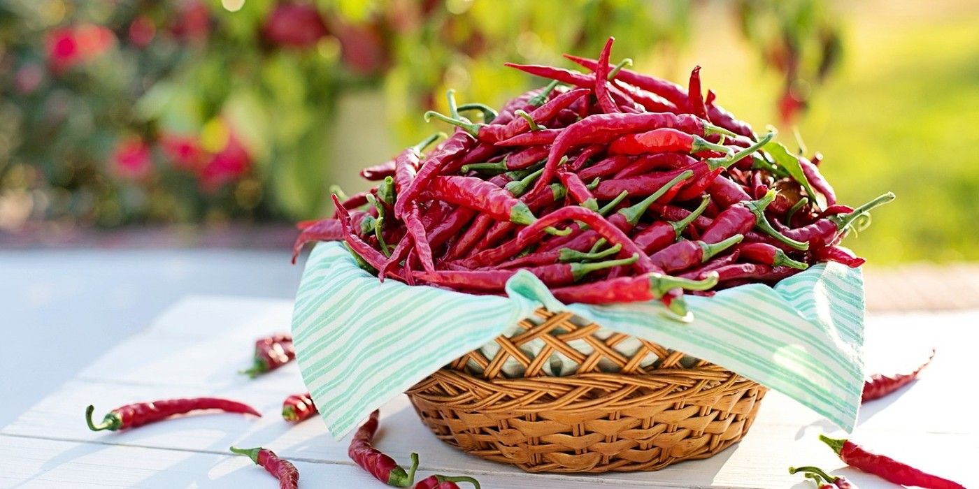 How to Deter Pests in the Garden with Cayenne Pepper