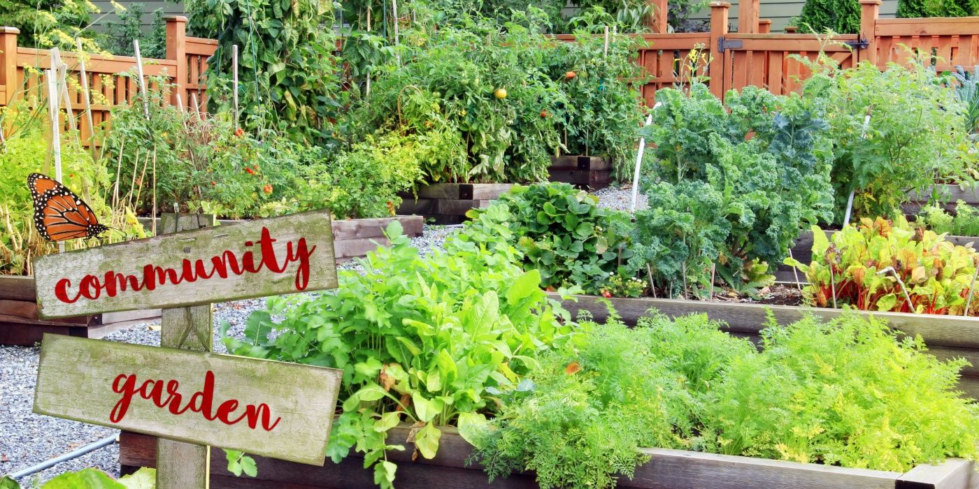 A Guide to Discovering Community Gardens