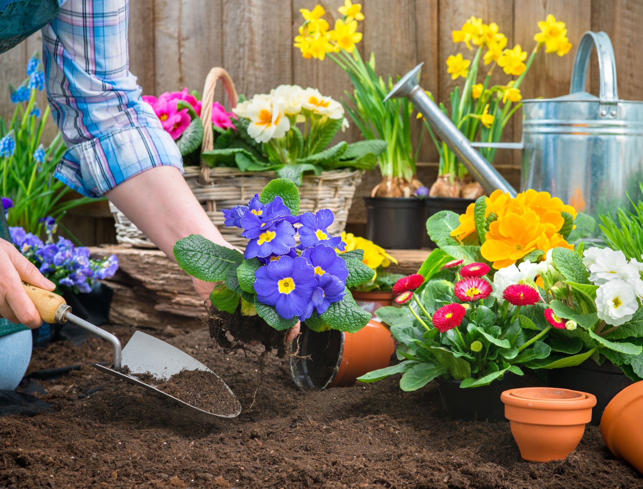 Prepare Your Summer Garden With 7 Must-Do Tasks