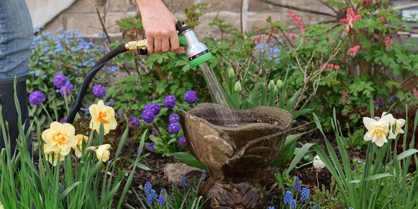 Garden Birdbath Fountains Are They Good or Bad?