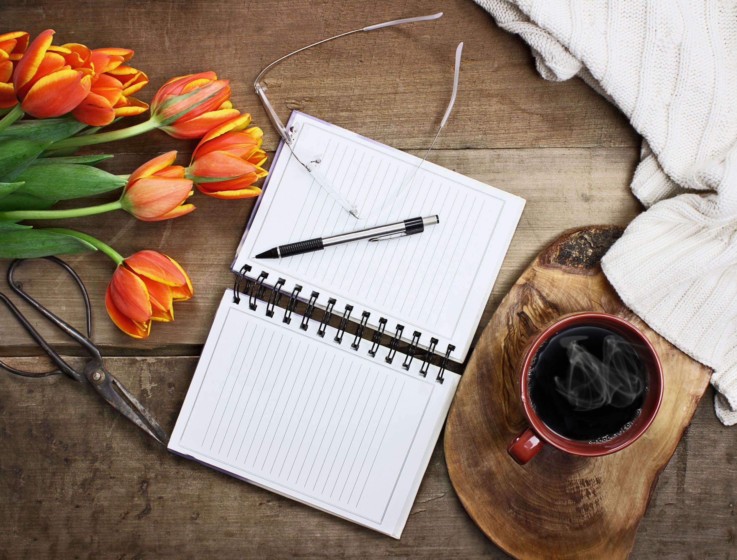 When To Sow Wildflower Seeds when-to-sow-wildflower-seeds