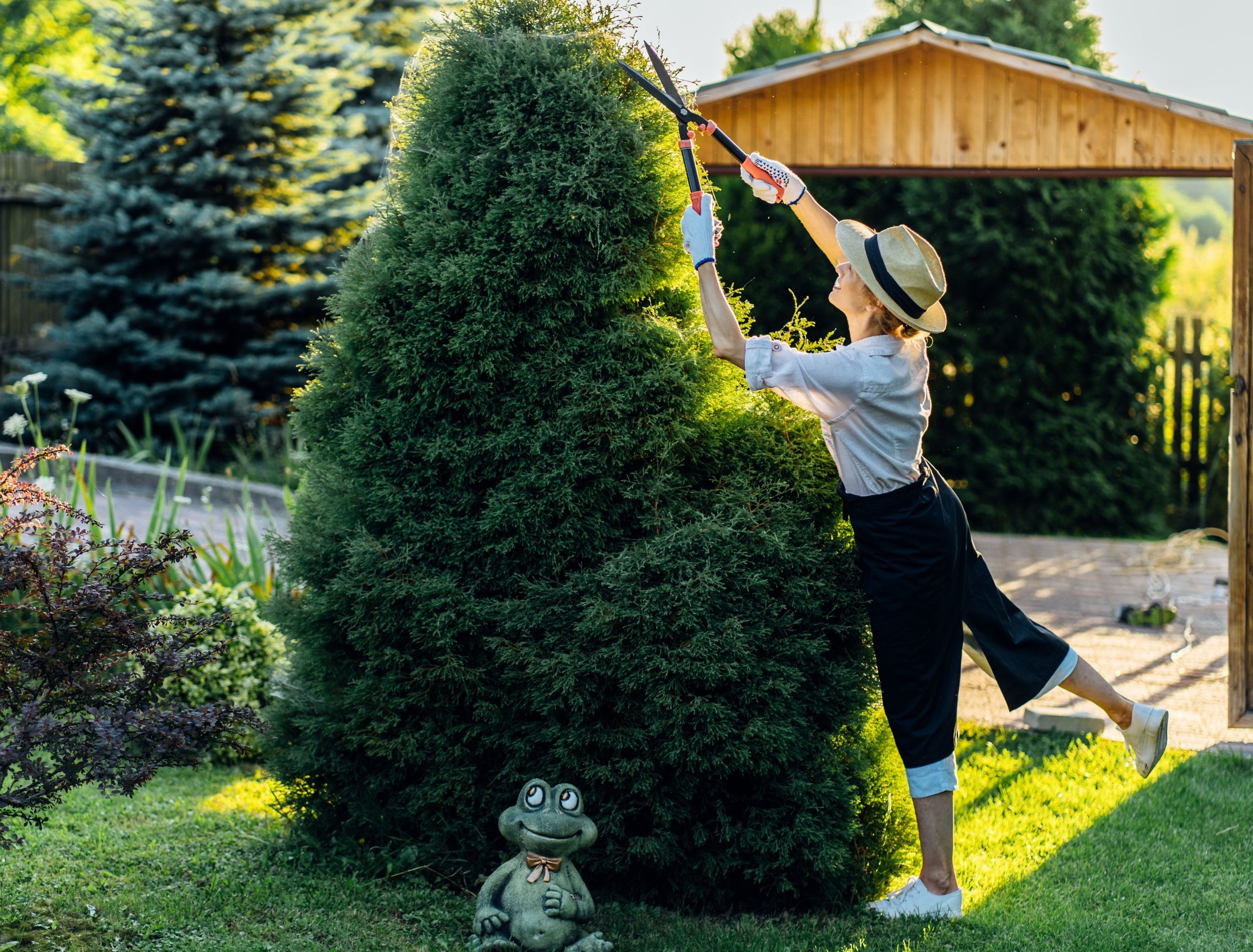 Shaping Shrubs and Bushes: Create a Stunning Landscape Design