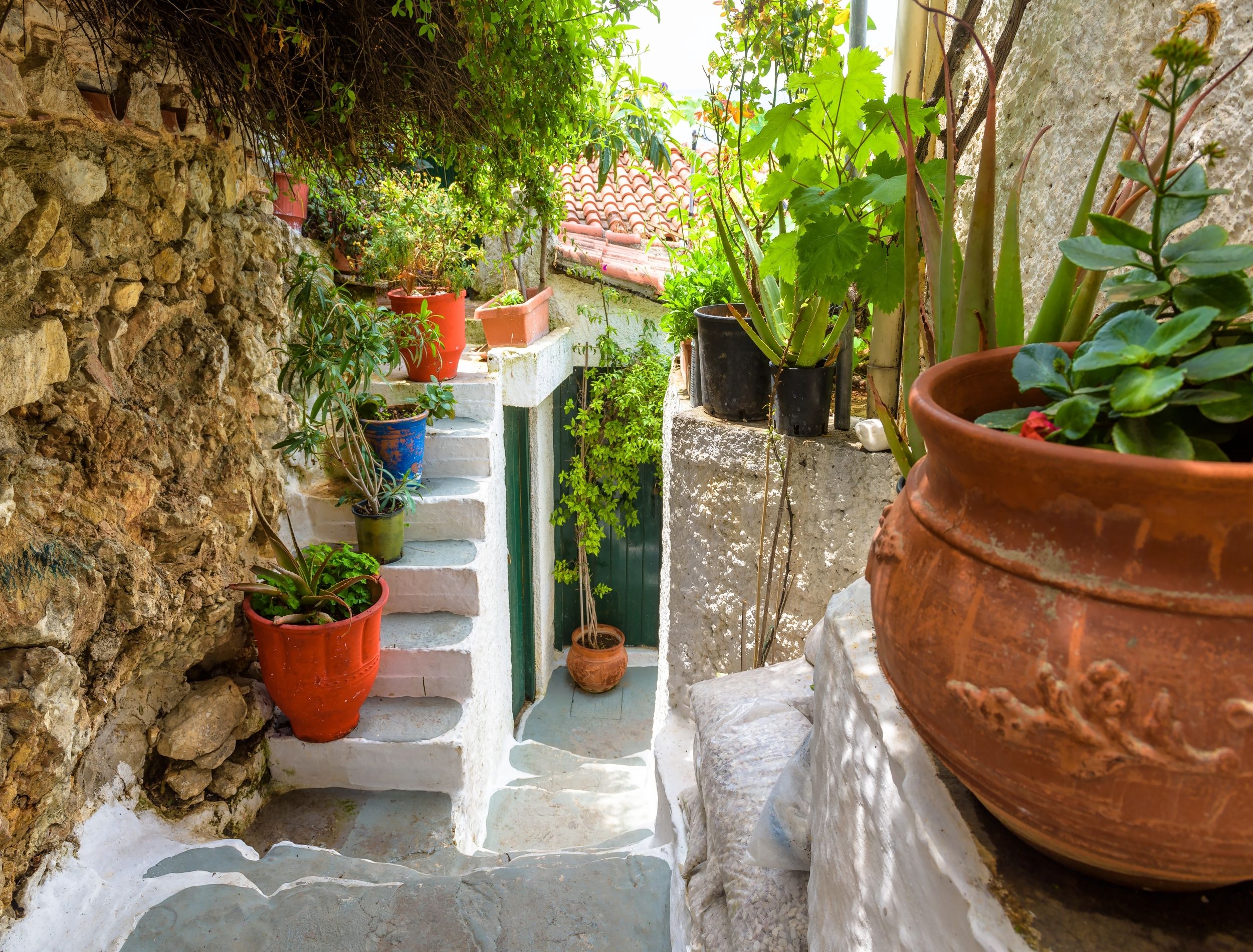 Transform Your Backyard with Greek-inspired Landscaping