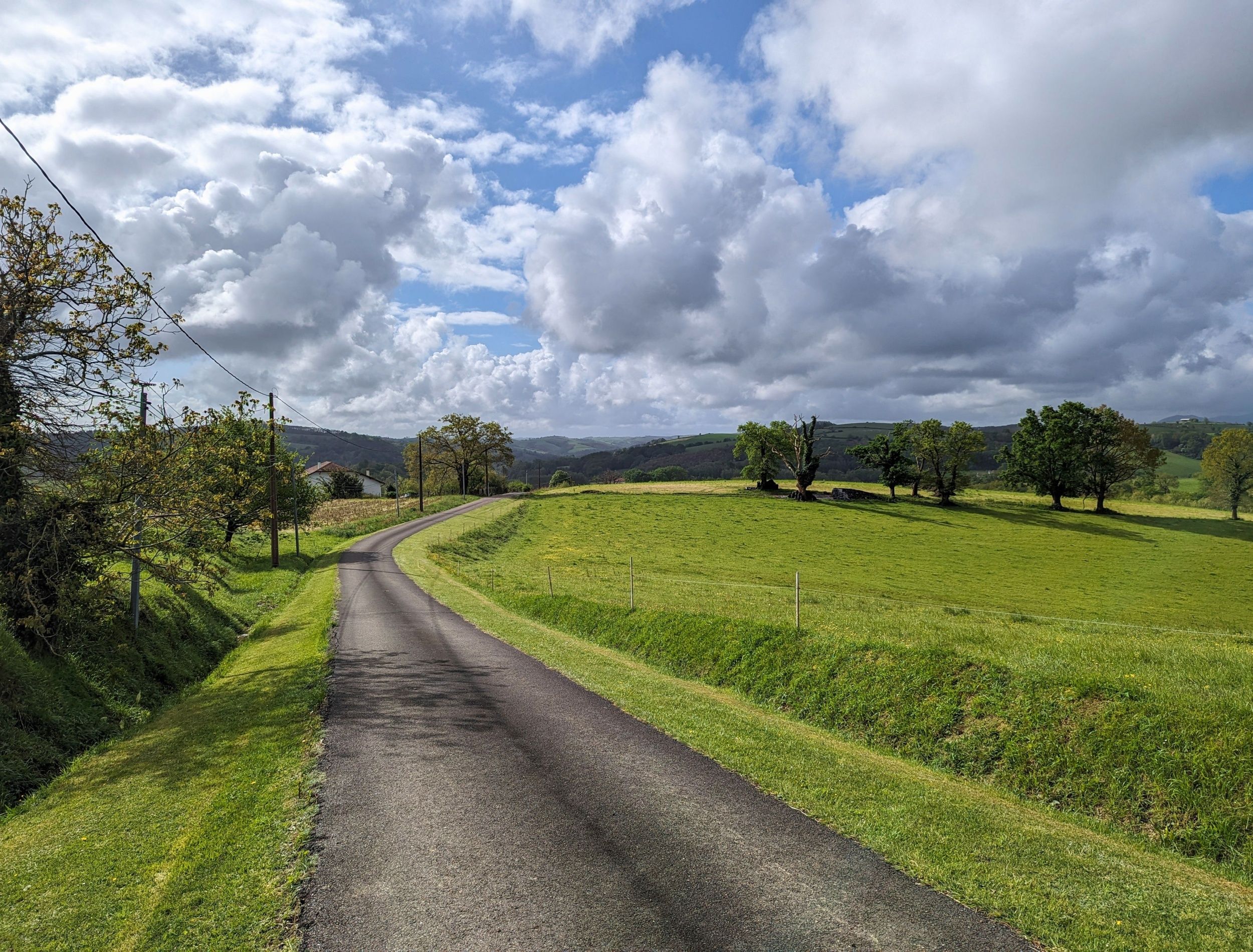 How To Build Your Own Landscaping Berms   Landscaping Berms Dividing A Field From The Road 