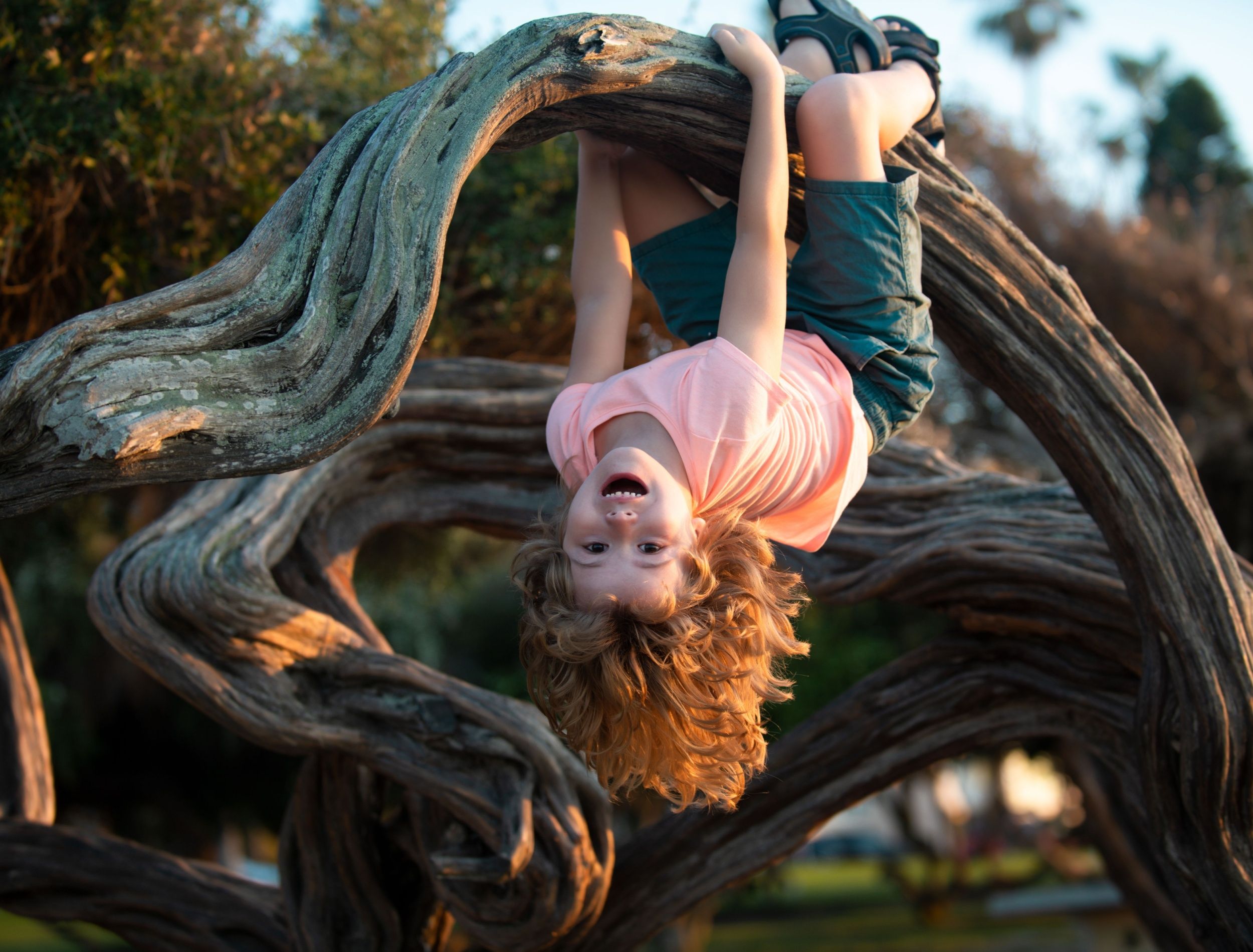 Building and Growing a Natural Playground in Your Yard