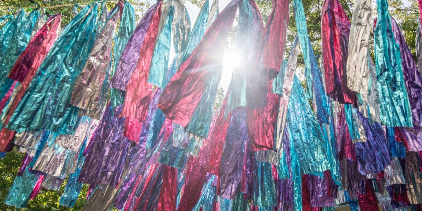 7 Effective Methods to Keep Birds Off Your Roof