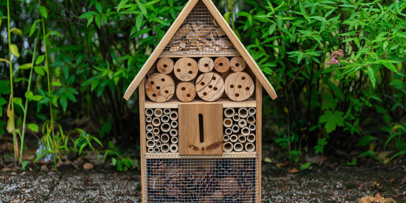 Create a Bug Hotel to Draw Helpful Garden Insects