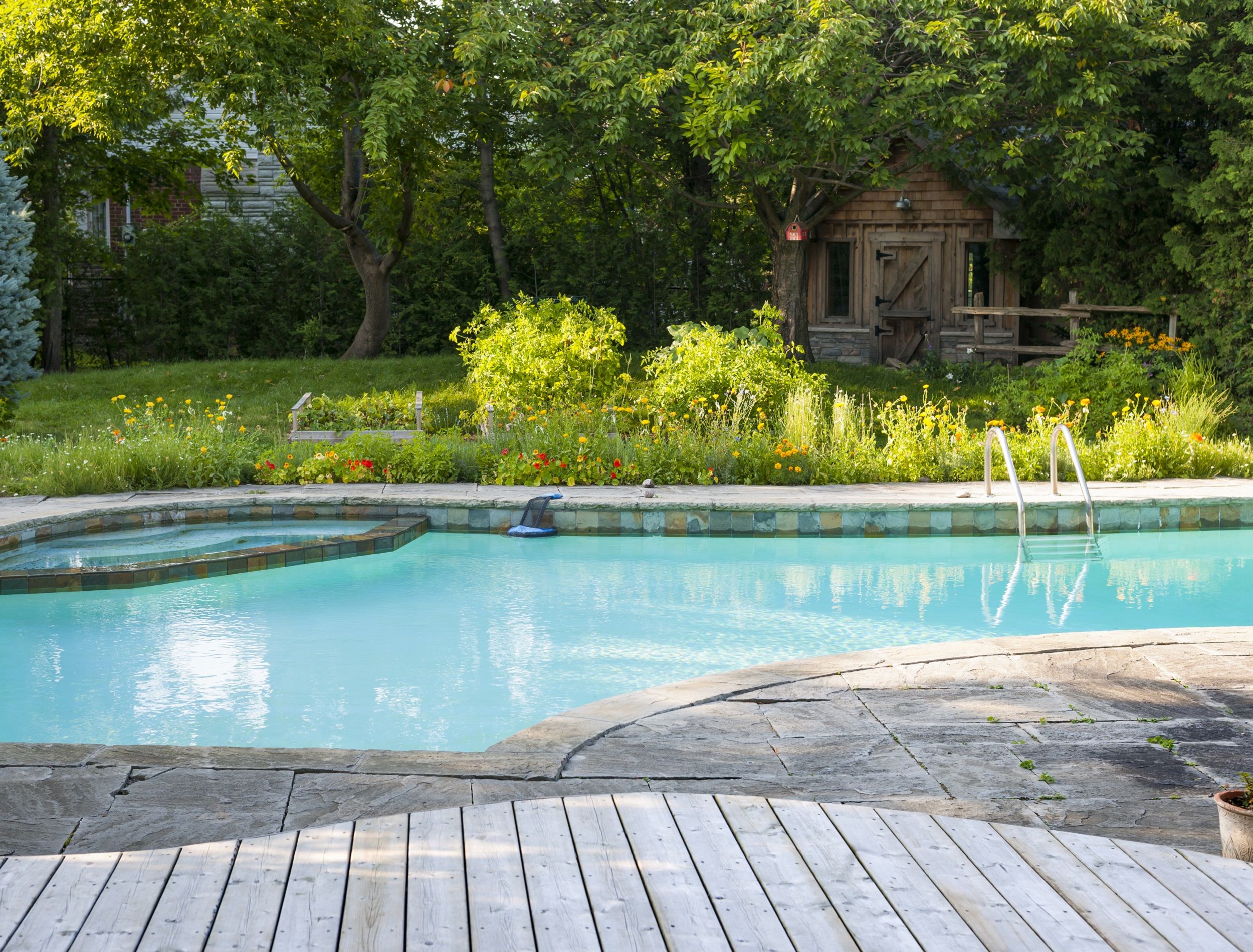 Natural Swimming Pool Design: 8 Pool Garden Ideas