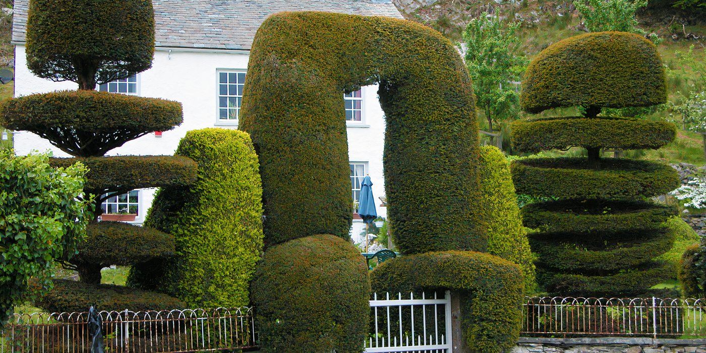 Topiary Gardening Learn How To Grow Boxwood and Make Garden Art