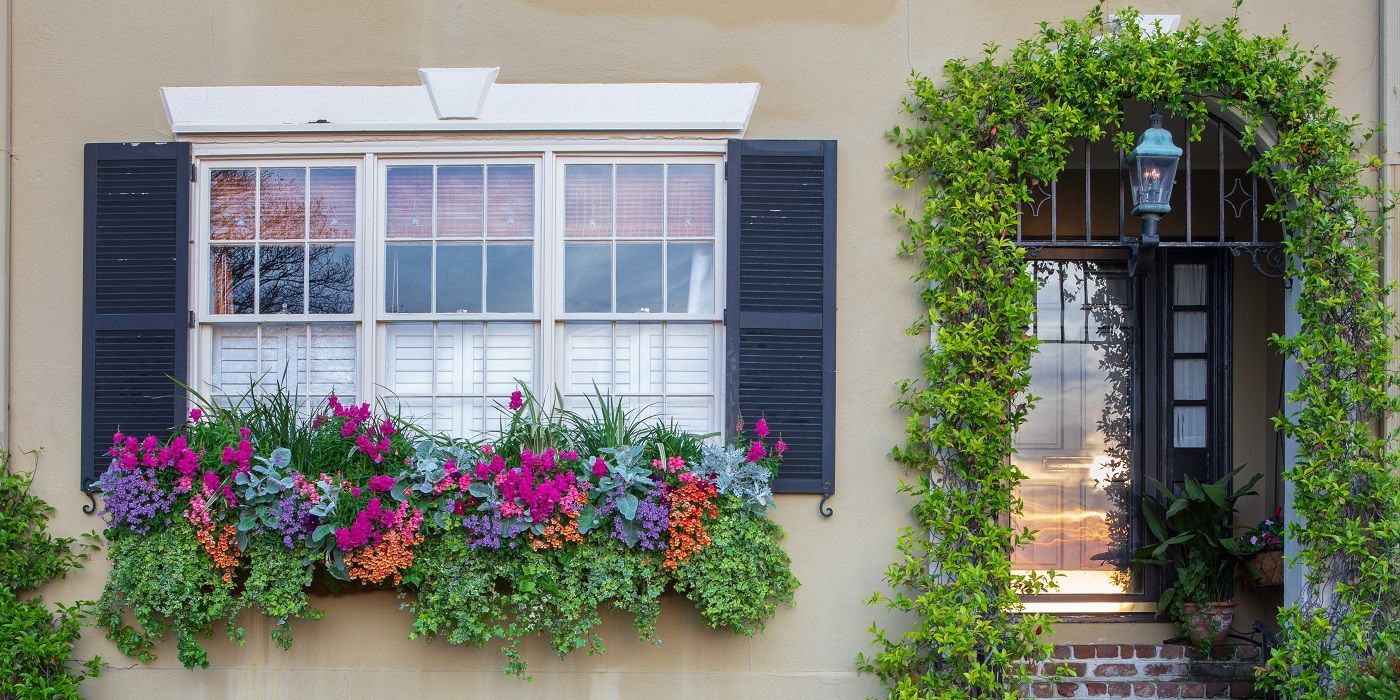 Add Colorful Window Boxes to Your Outdoor Design