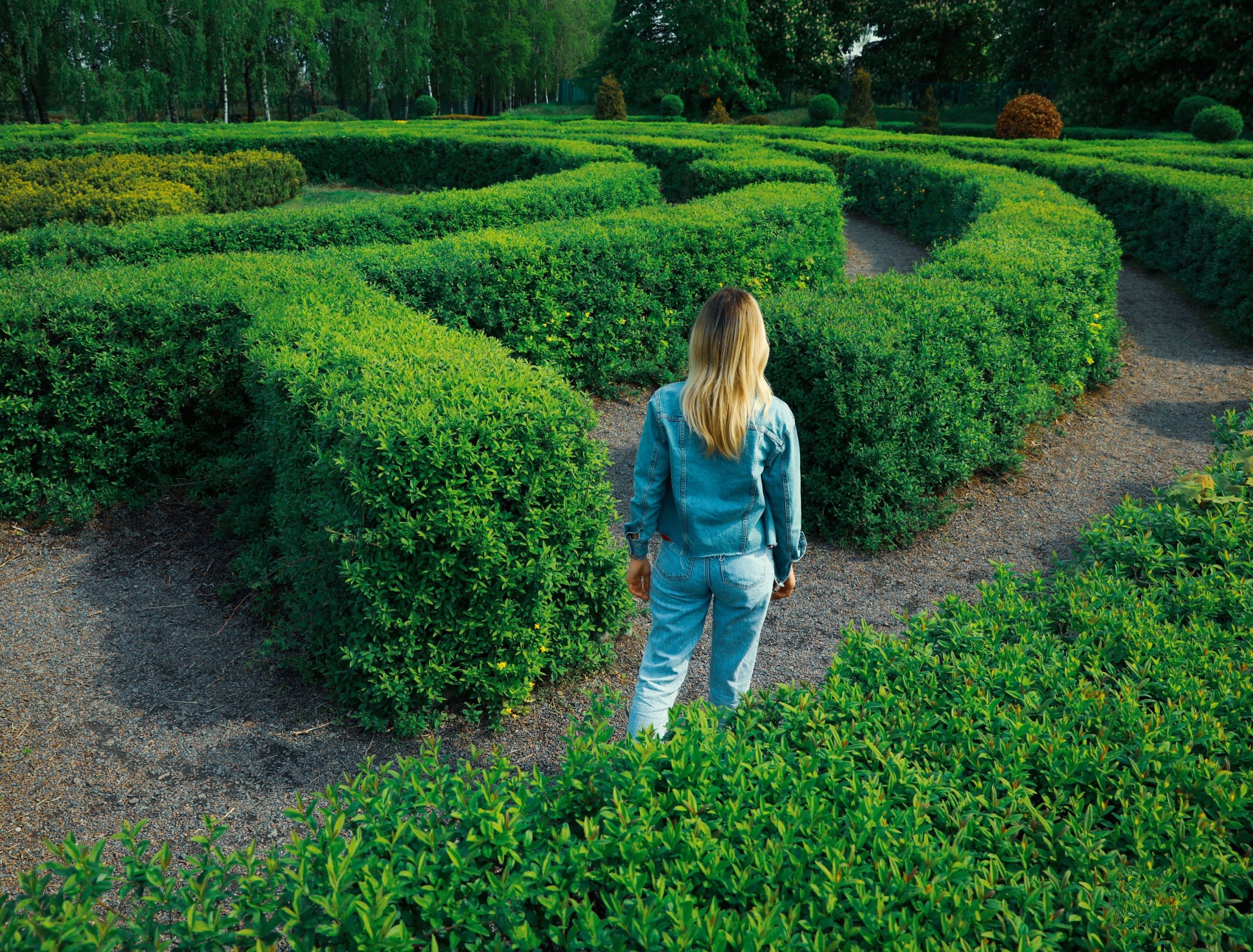 Grow a Hedge Maze as Part of Your Summer Landscaping Projects