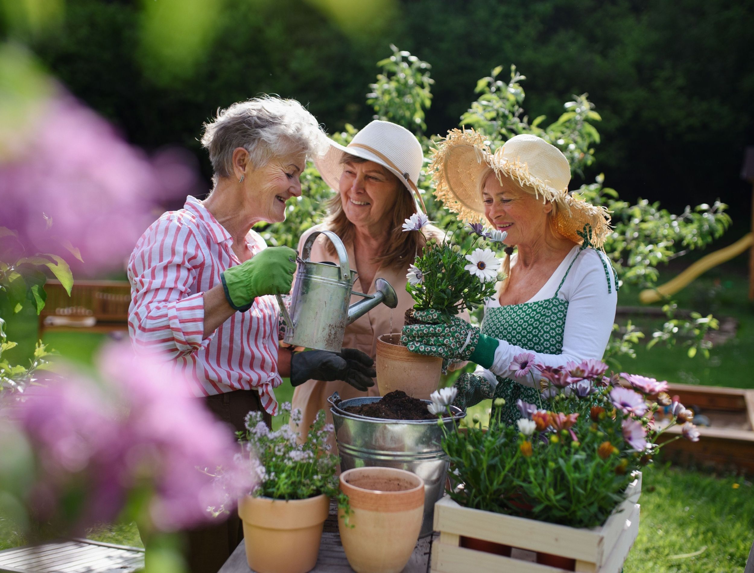 A Guide to Discovering Community Gardens