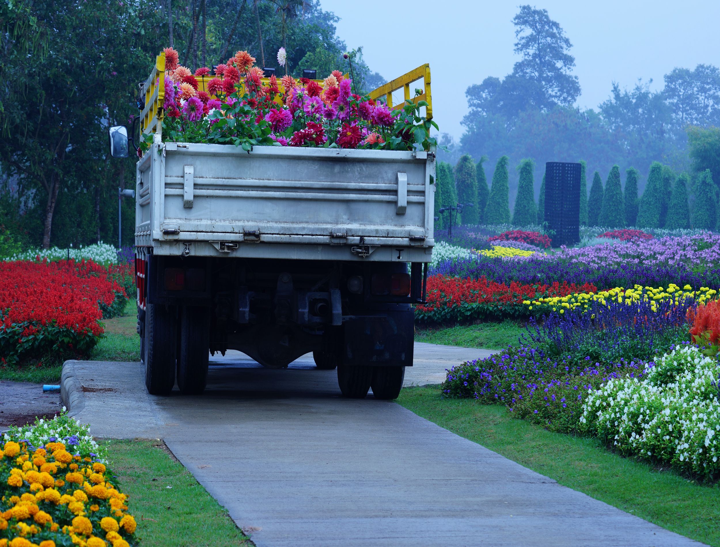 Discover the Charm of Mobile Summer Flower Trucks