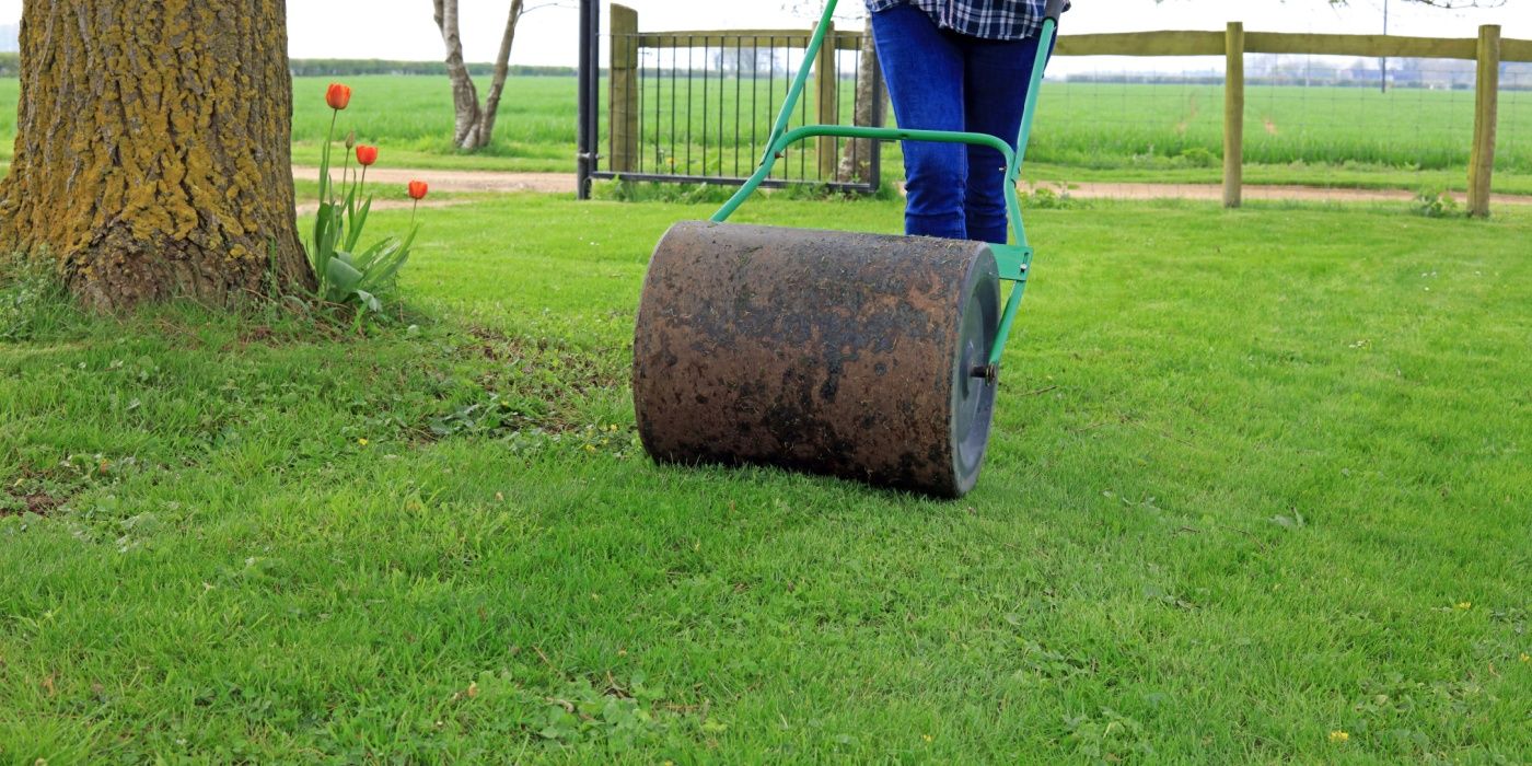 How Often and Why You Should Roll Your Lawn