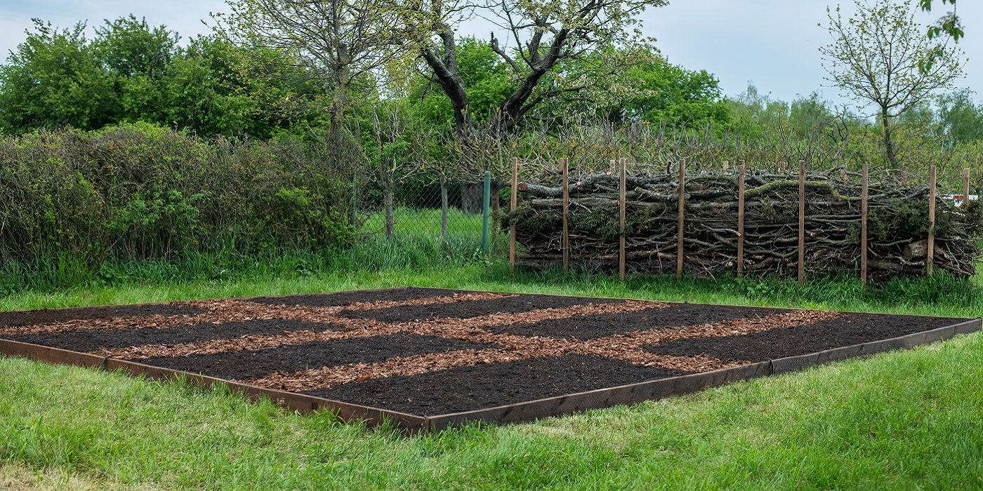 Try an Easier Way to Garden: No Dig, No Till