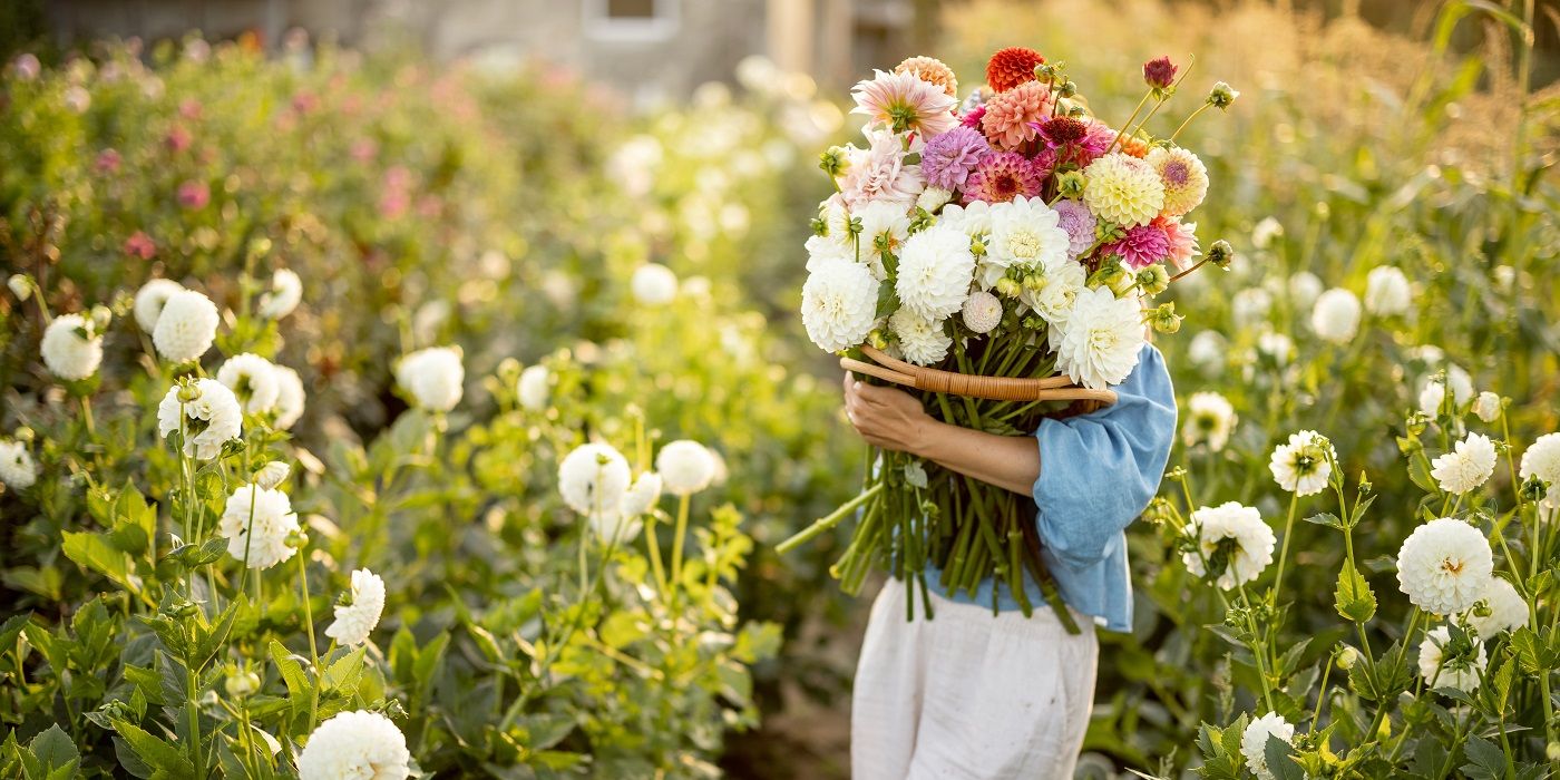 Posy: The Unexpected Hot Flower Trend In Spring Gardens