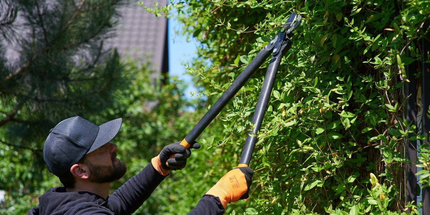 Fall garden cleanup essentials do s and don ts for an inviting space
