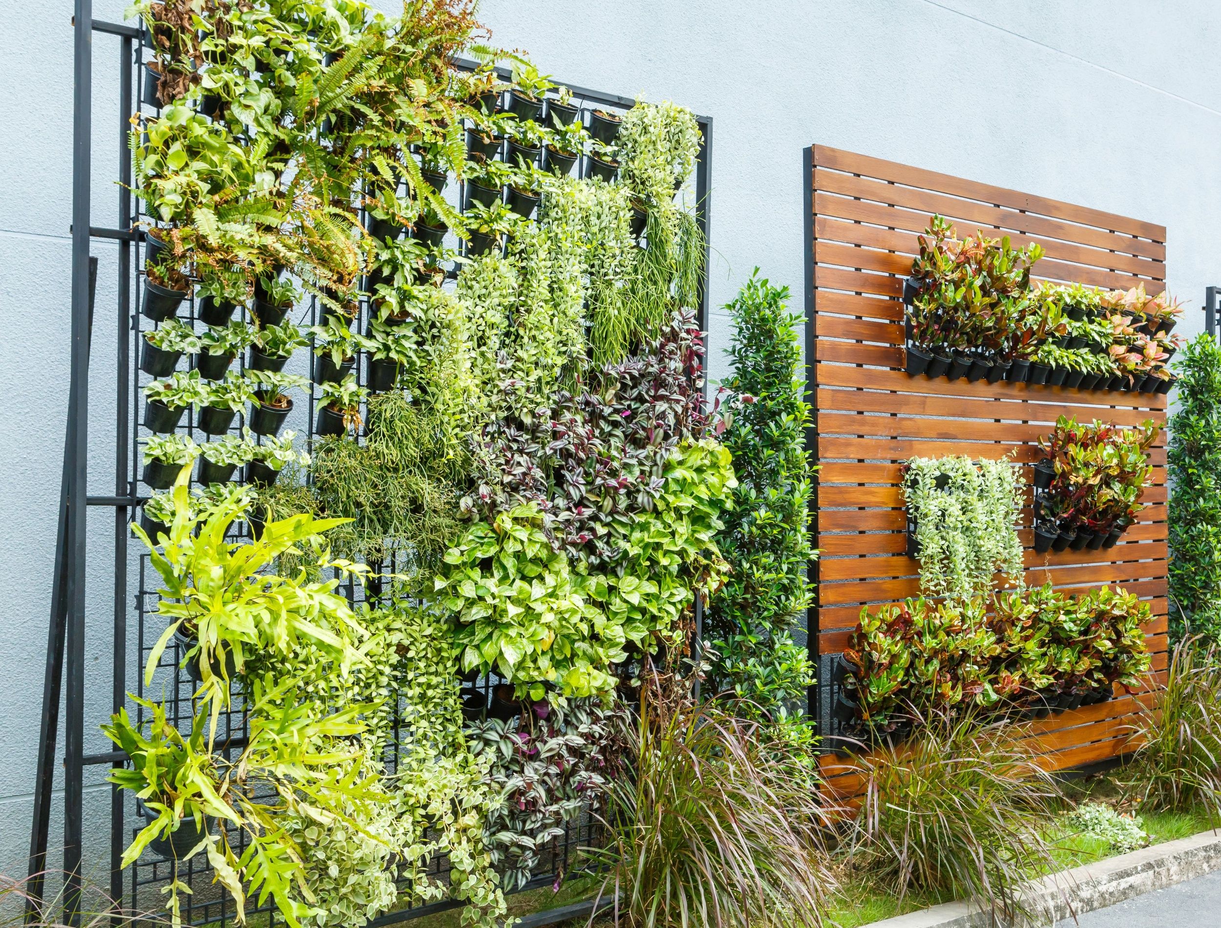 Two different vertical gardens in the city 