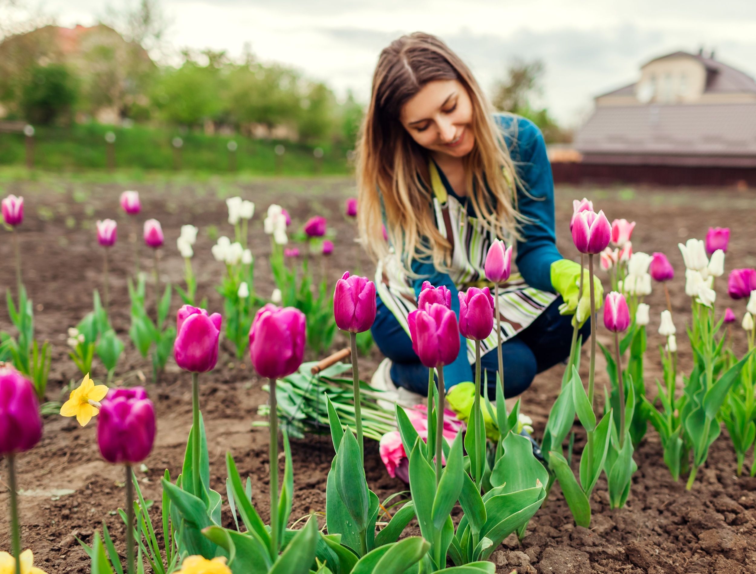 The Ultimate Guide to Mood Enhancing Gardens