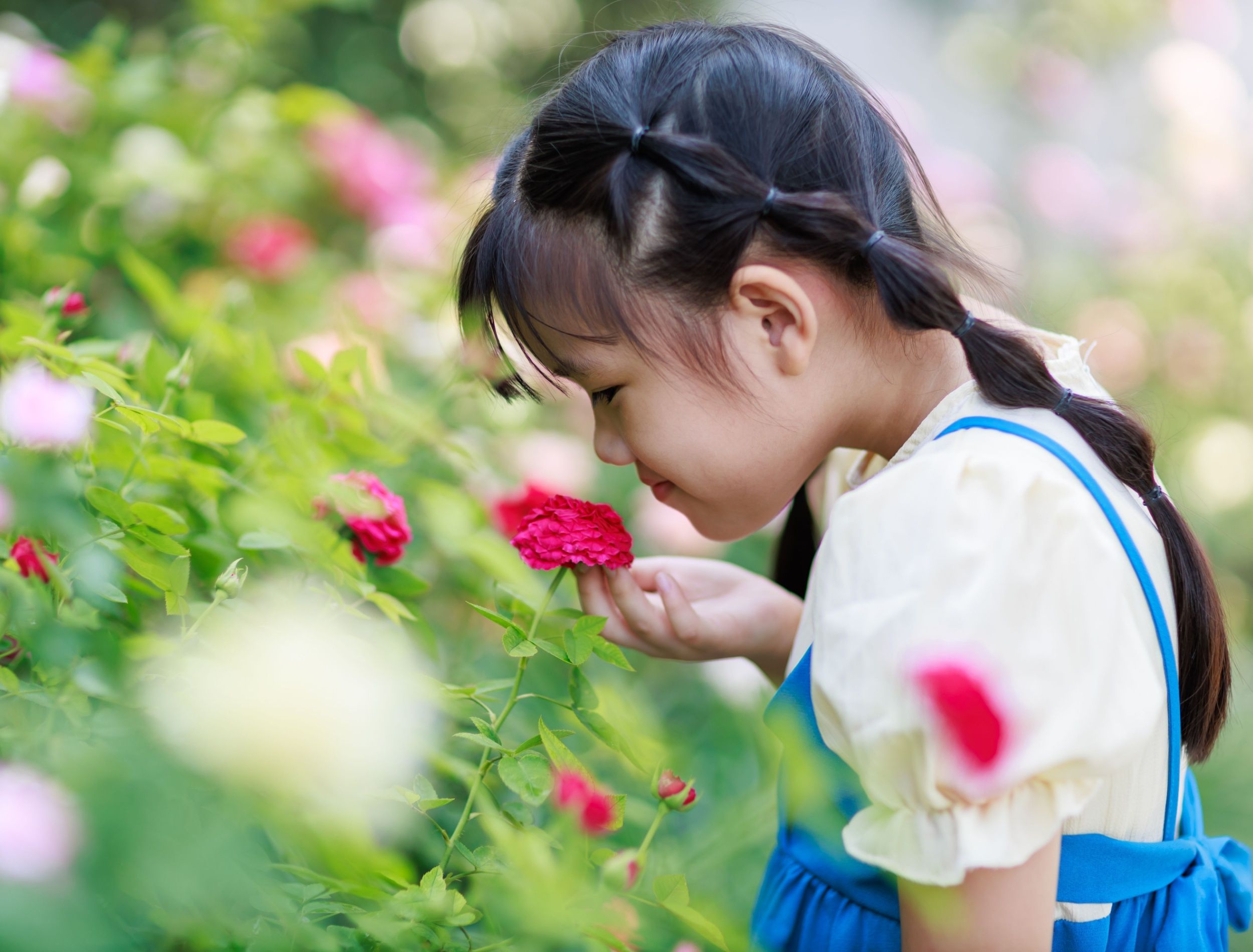 5 Summer Flowers With the Most Unique Scents