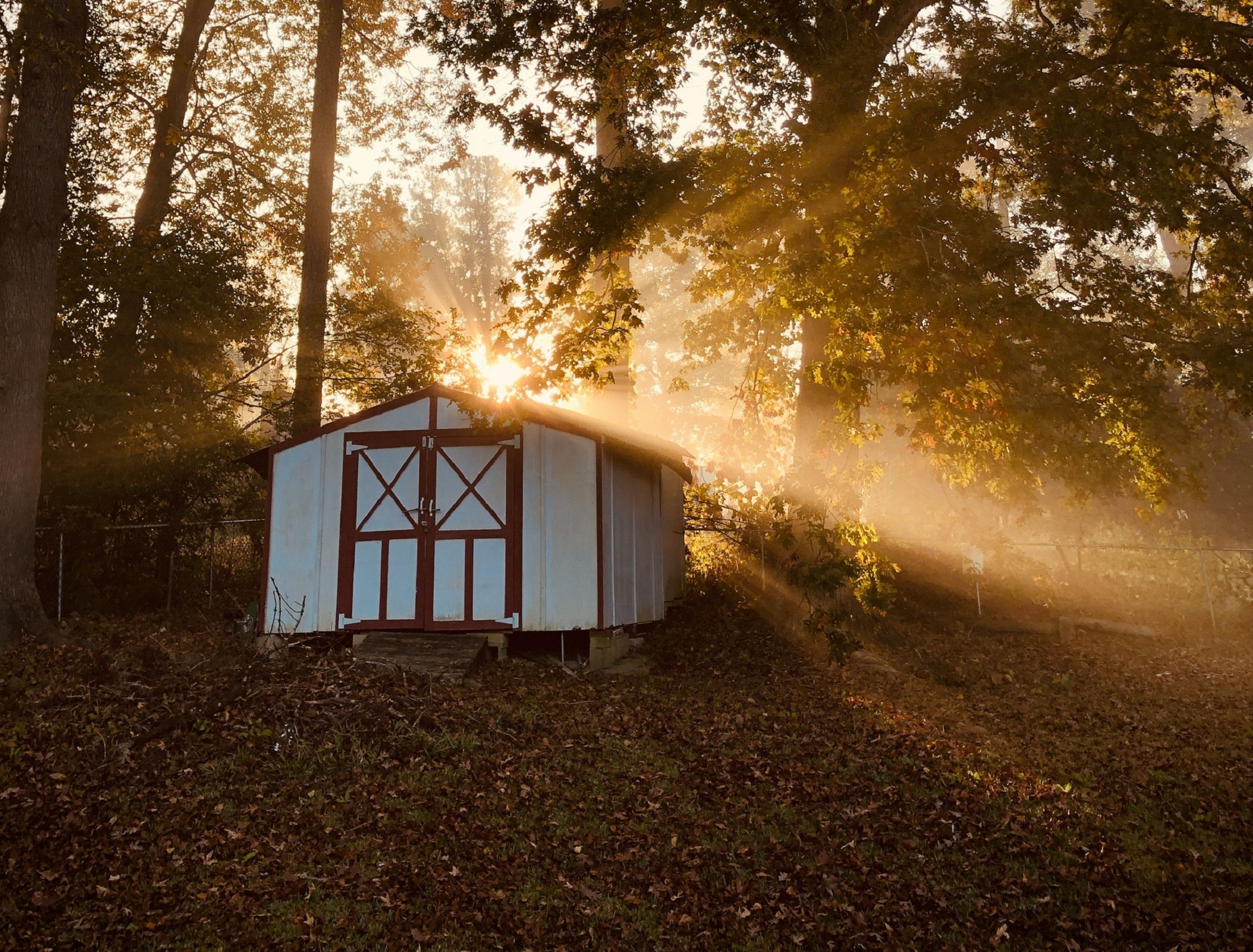 Store Your Garden Gear in the Best Backyard Shed