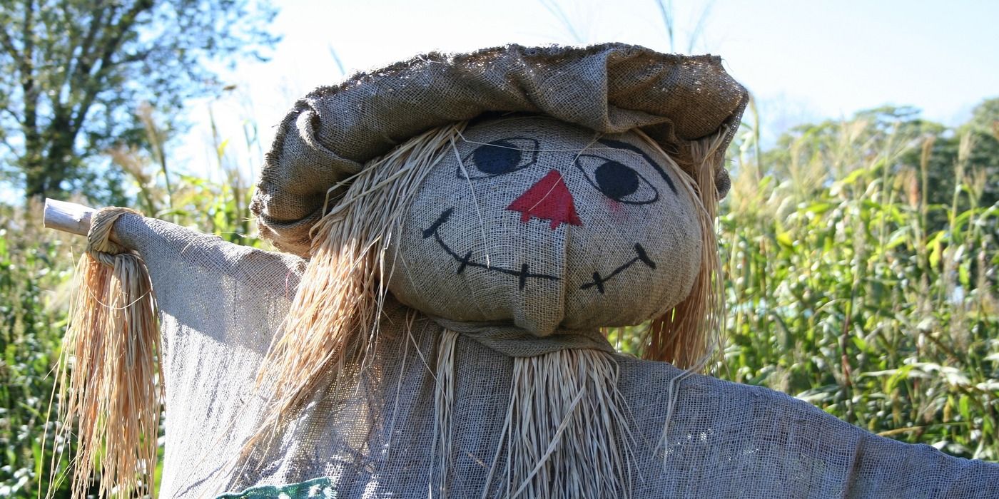 How to Build a DIY Scarecrow