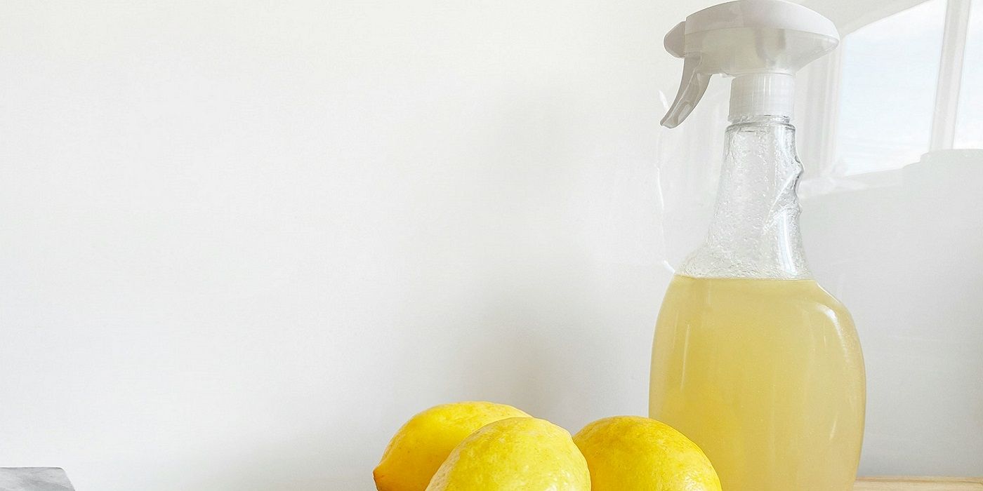 Get Rid of Garden Bugs With Home Remedies